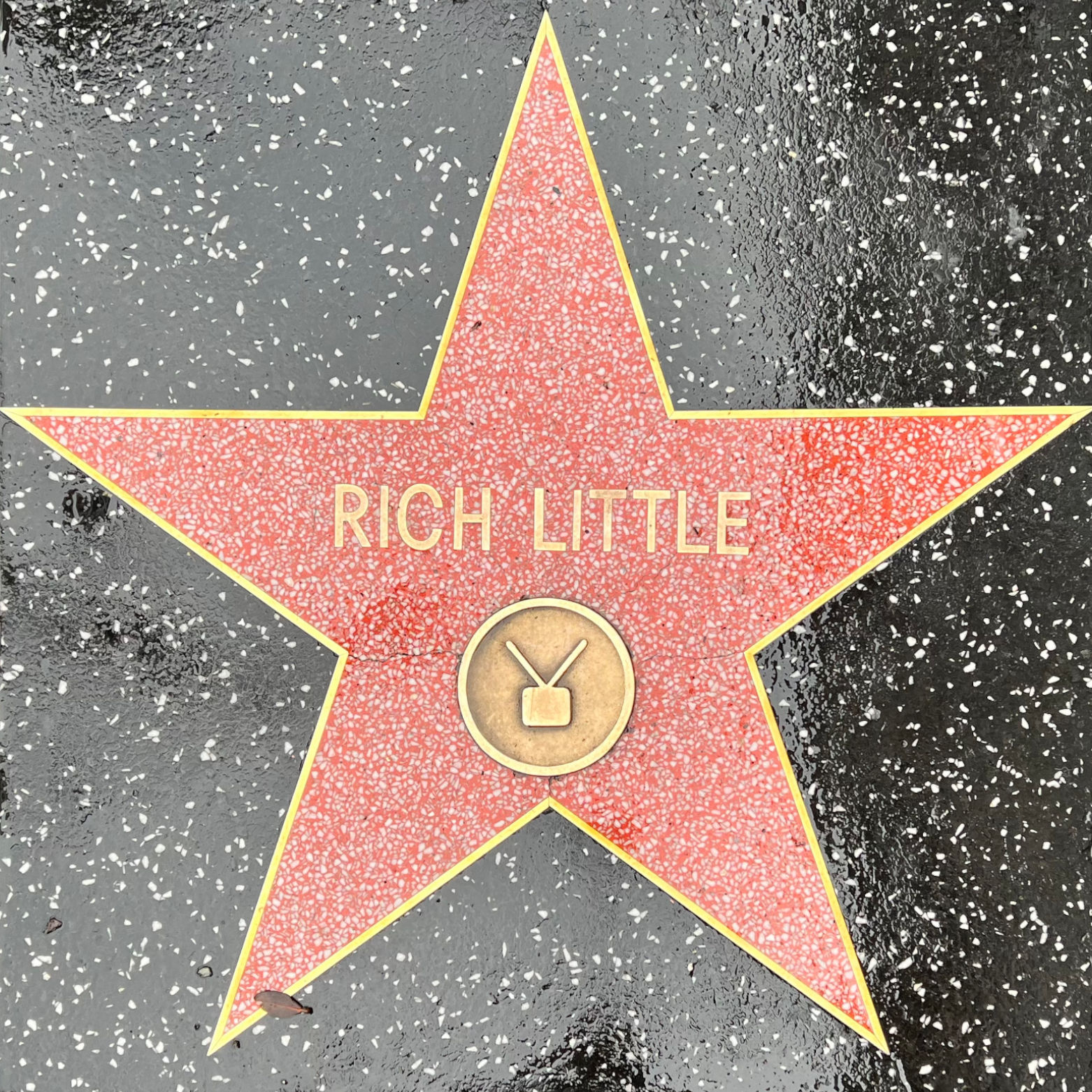 Rich Little's Television Star