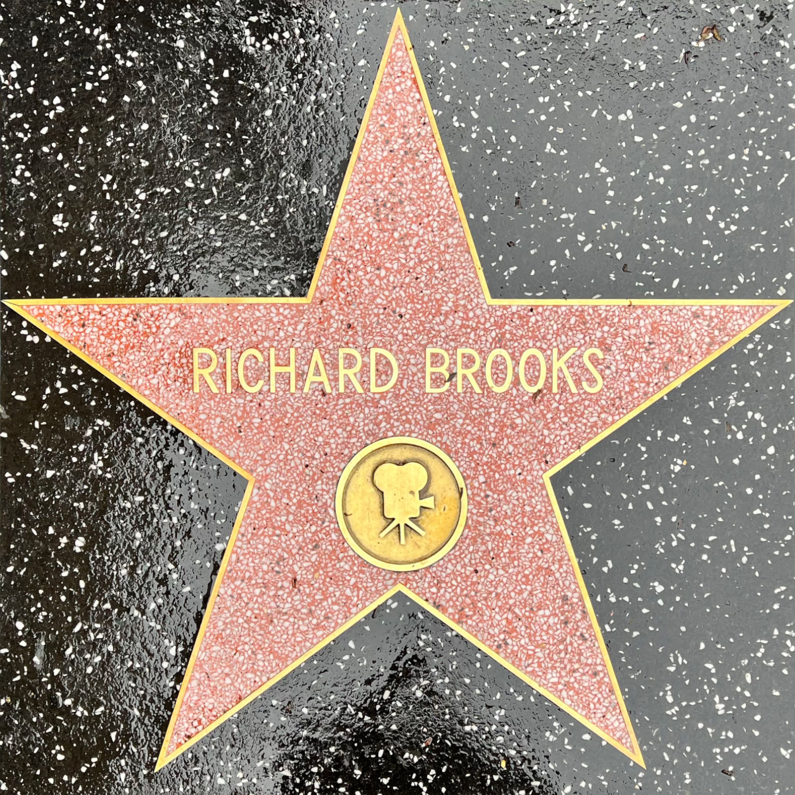 Richard Brooks's Motion Pictures Star