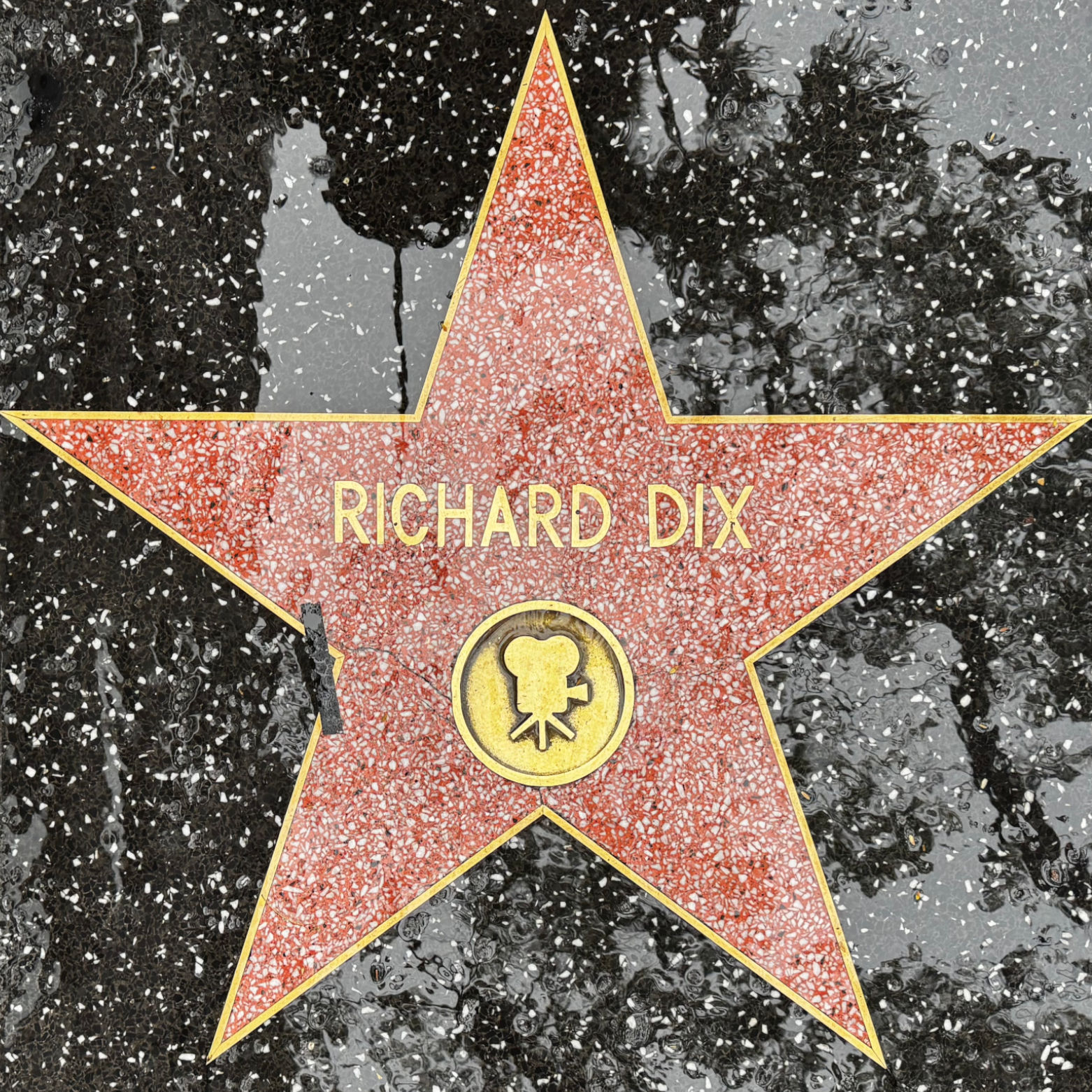 Richard Dix's Motion Pictures Star