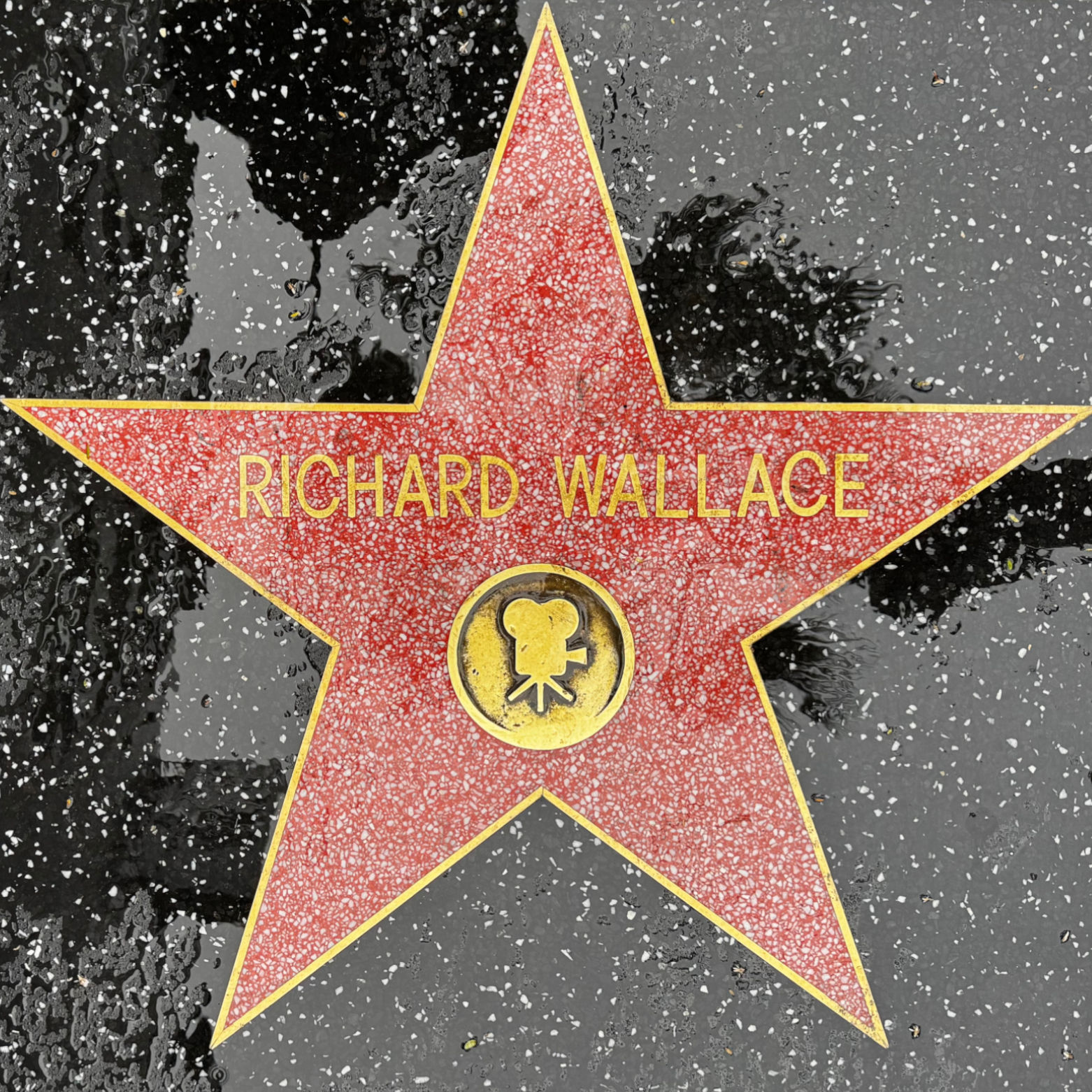 Richard Wallace's Motion Pictures Star Richard Wallace's Motion Pictures Star