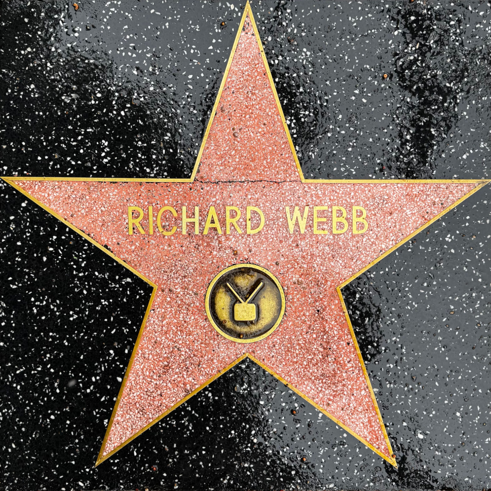 Richard Webb's Television Star Richard Webb's Television Star