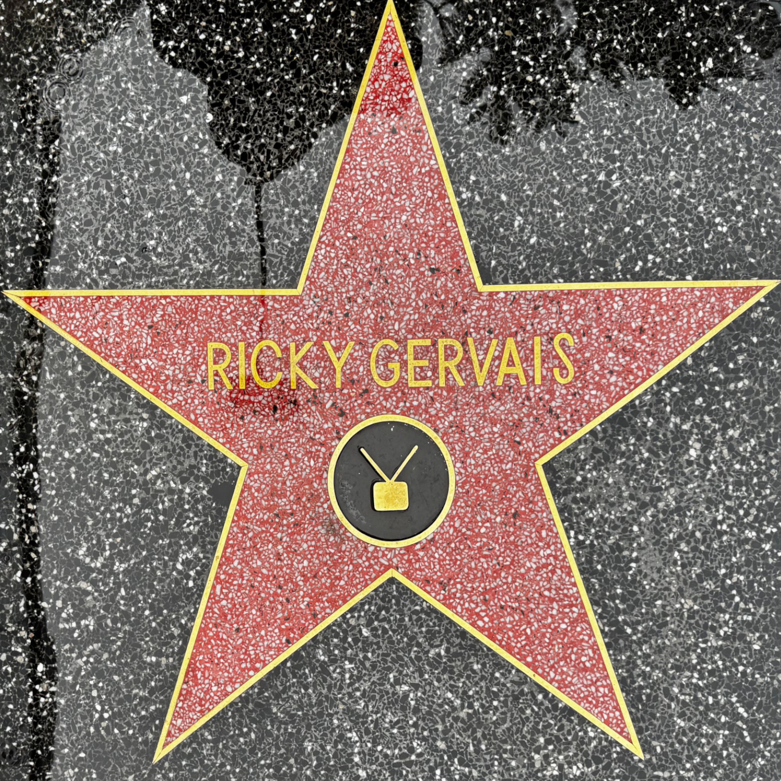 Ricky Gervais's Television Star