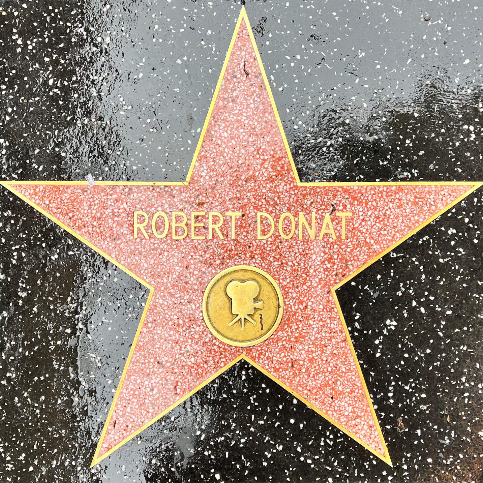 Robert Donat's Motion Pictures Star