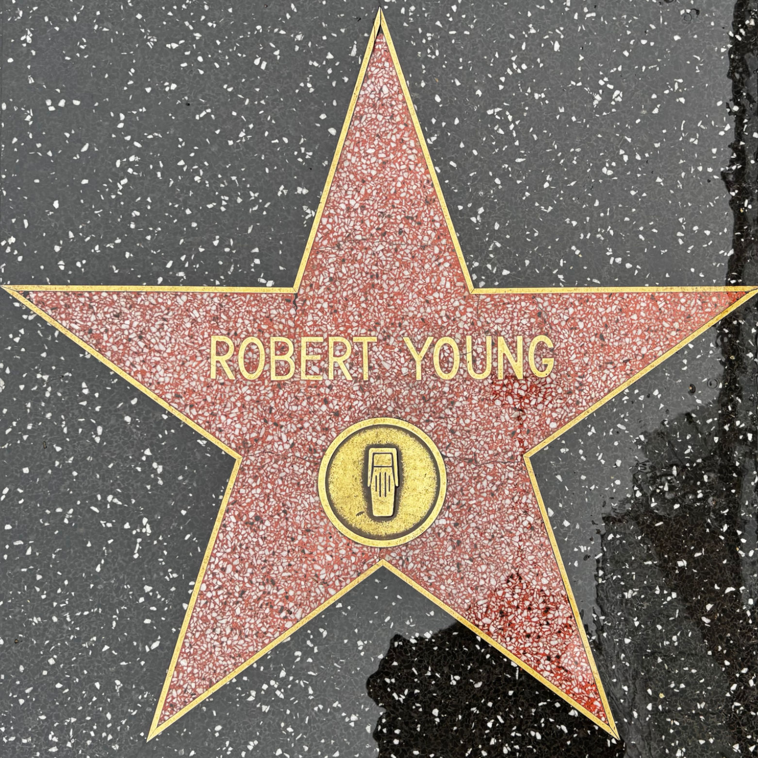 One of Robert Young's Stars One of Robert Young's Stars