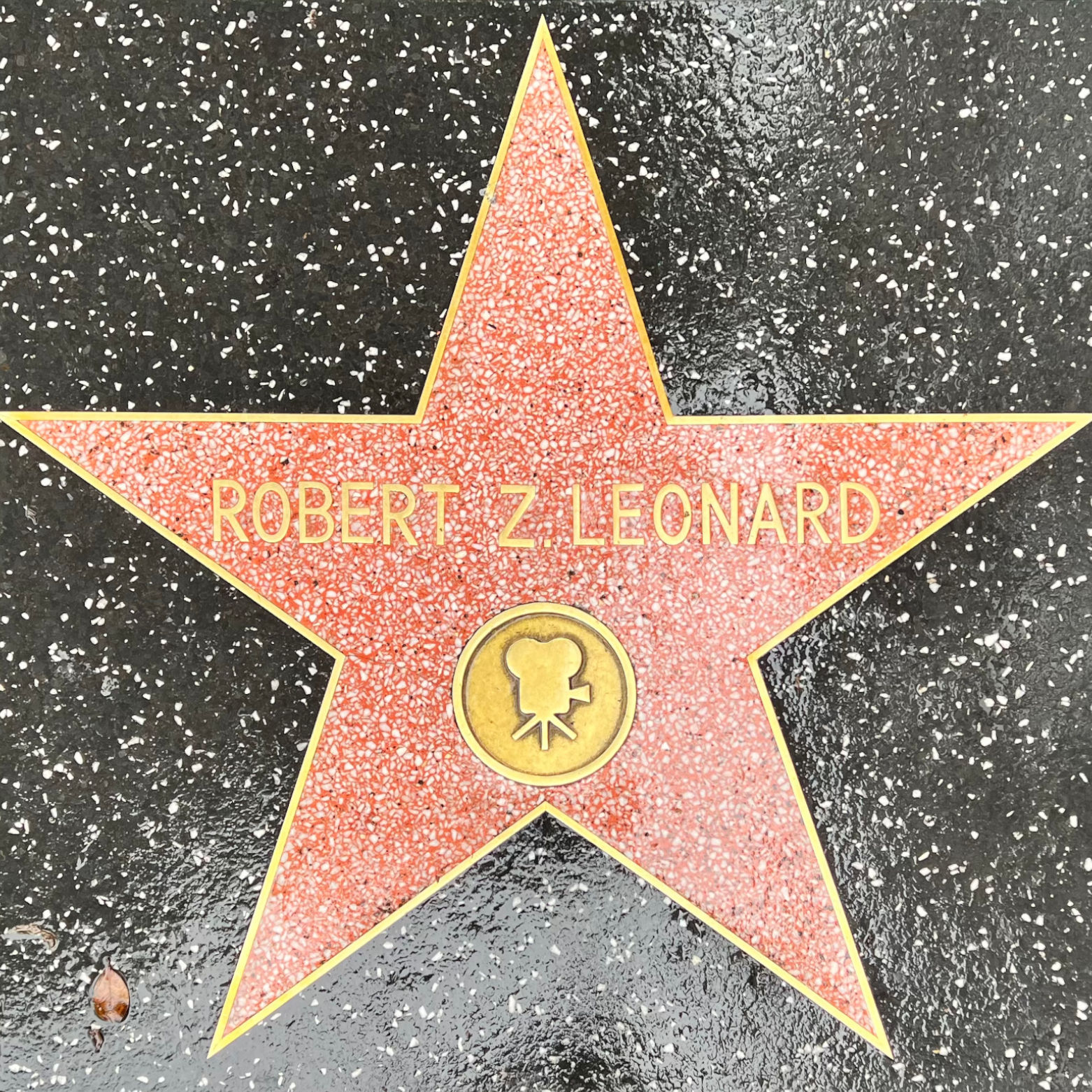 Robert Z. Leonard's Motion Pictures Star