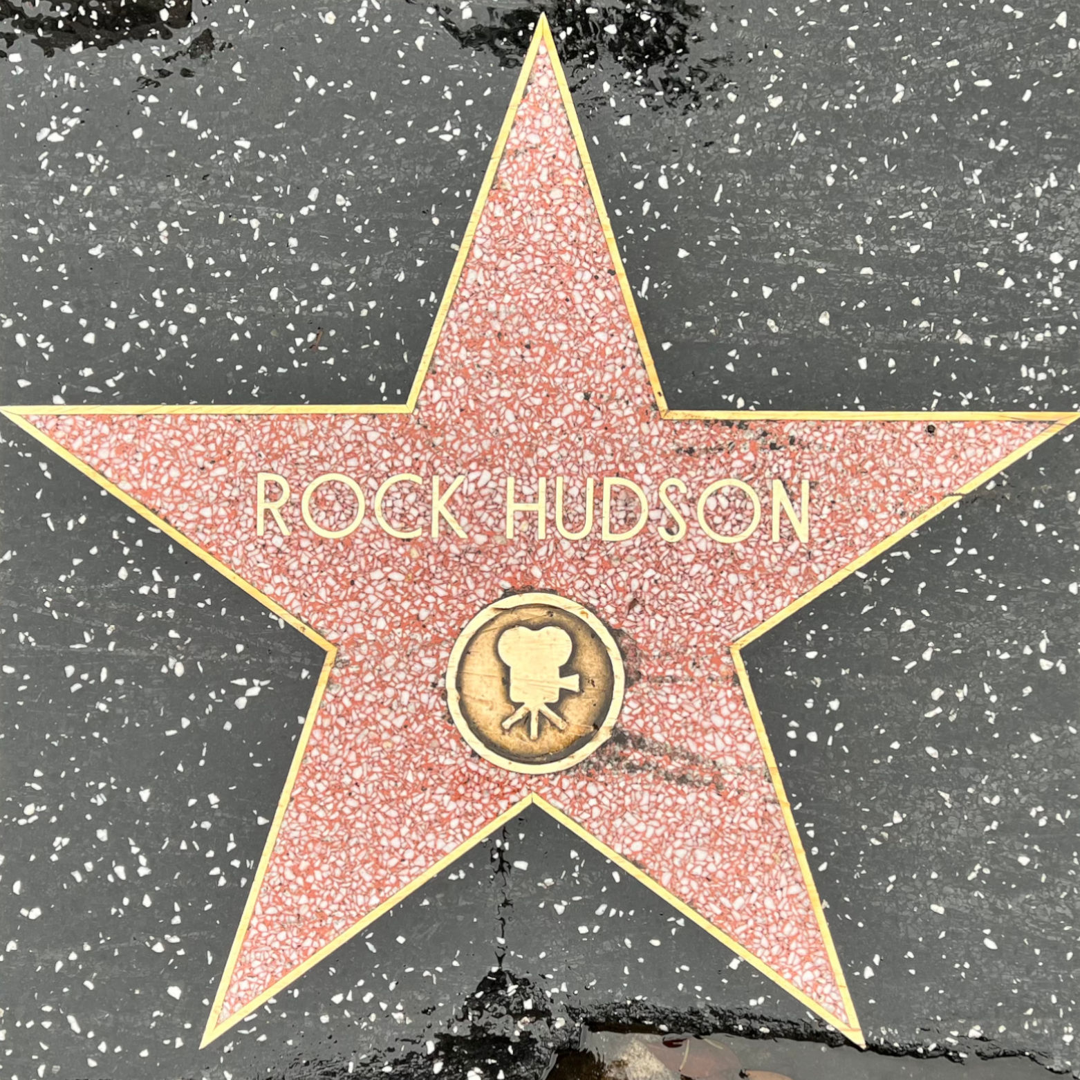 Rock Hudson's Motion Pictures Star