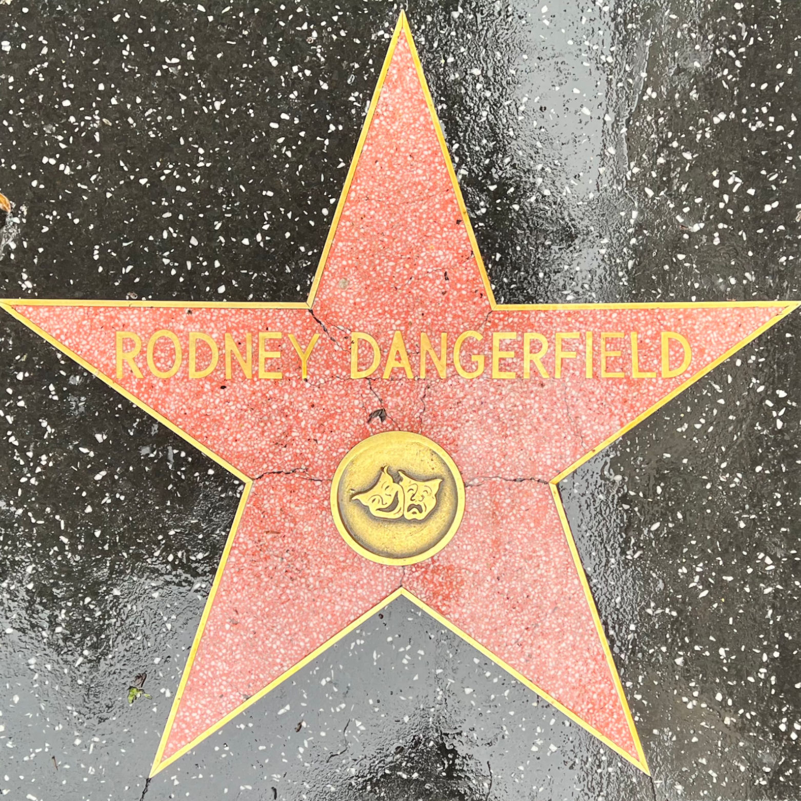 Rodney Dangerfield's Live Performance Star Rodney Dangerfield's Live Performance Star