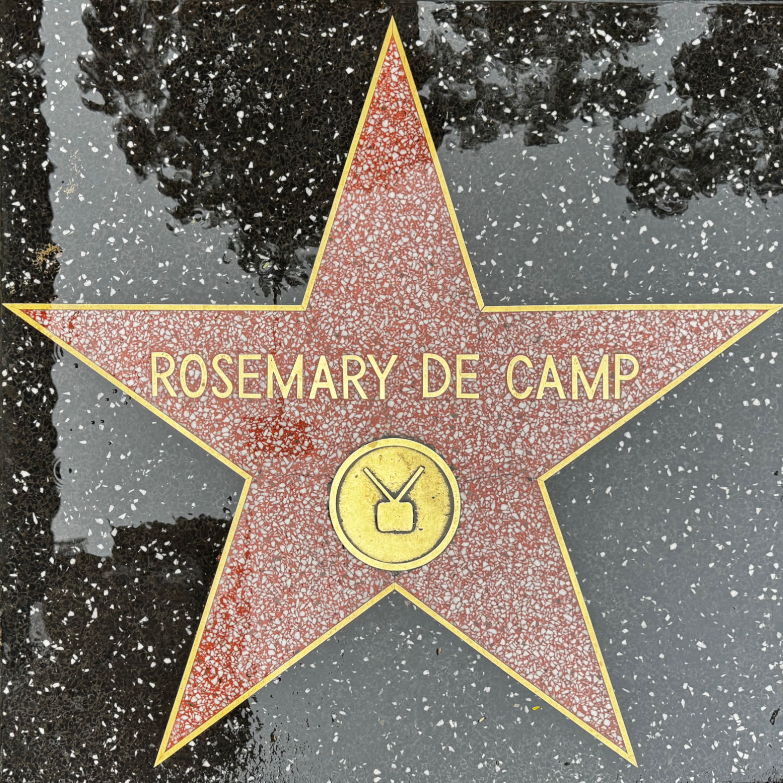 Rosemary De Camp's Television Star Rosemary De Camp's Television Star