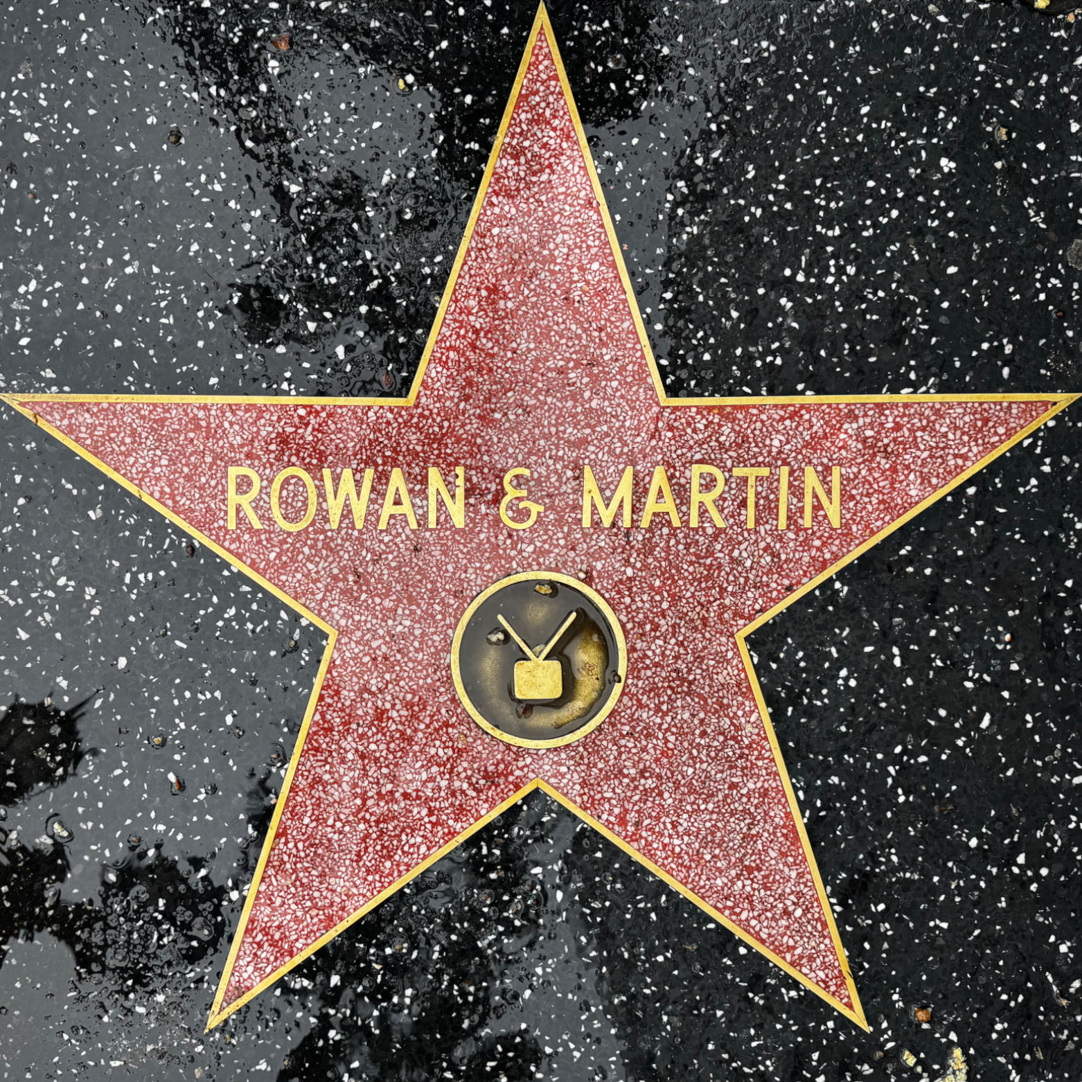 Rowan & Martin's Television Star Rowan & Martin's Television Star
