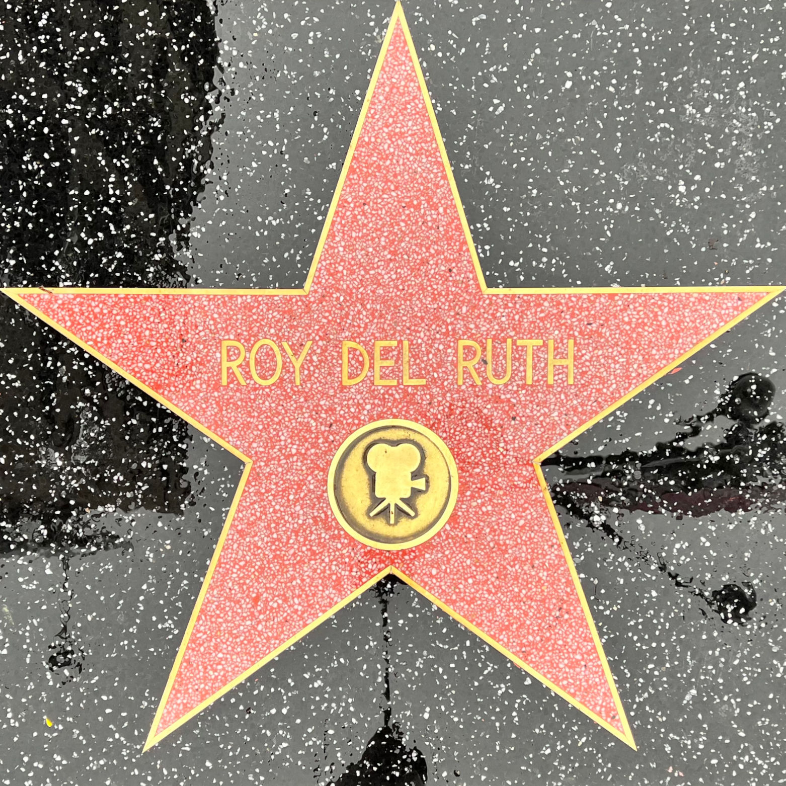 Roy Del Ruth's Motion Pictures Star