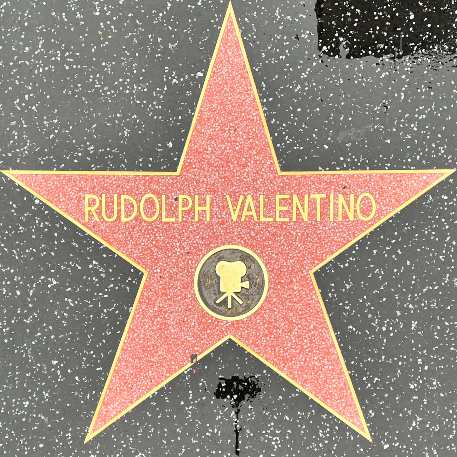 Rudolph Valentino's Motion Pictures Star