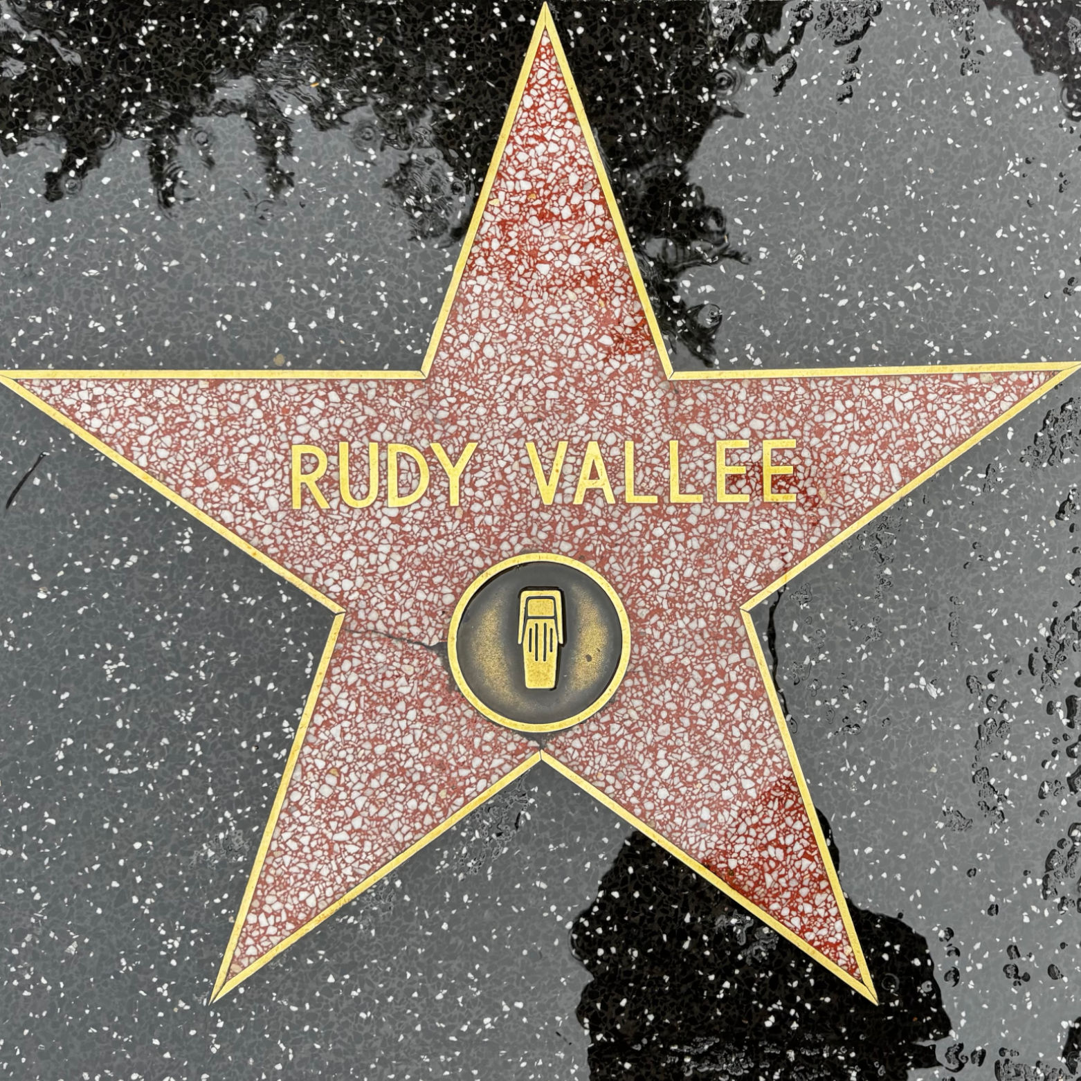 Rudy Vallee's Radio Star Rudy Vallee's Radio Star