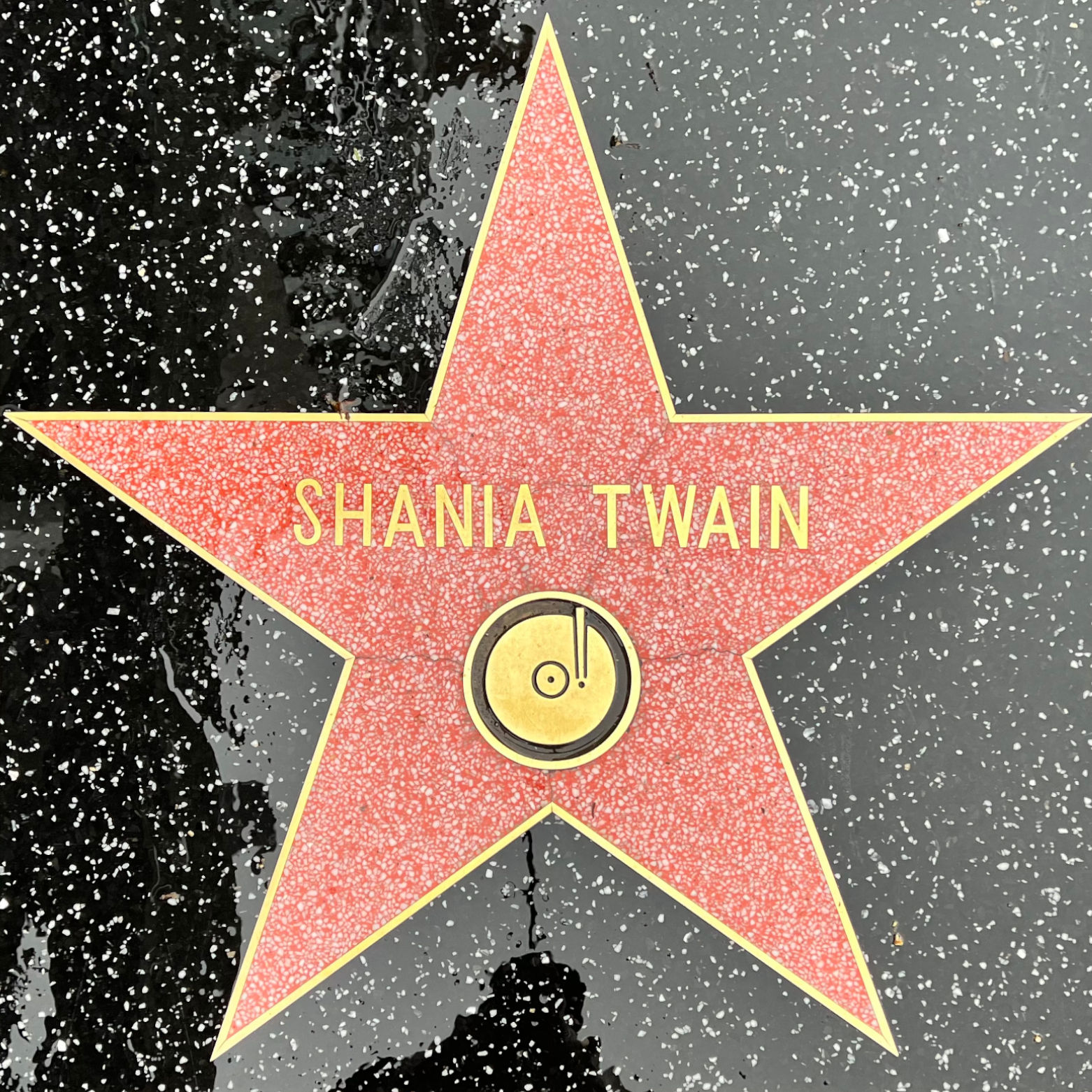 Shania Twain's Recording Star