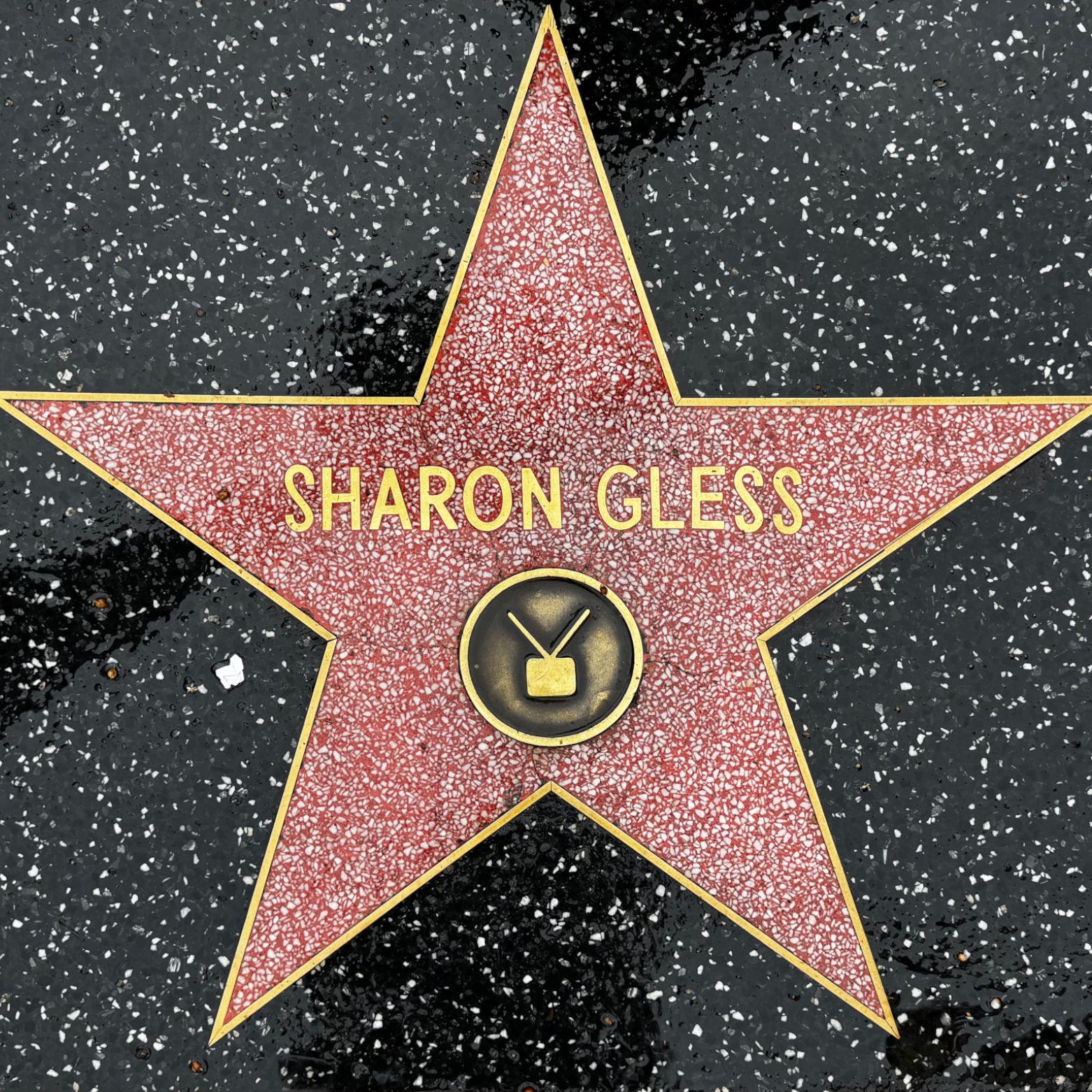 Sharon Gless's Television Star Sharon Gless's Television Star