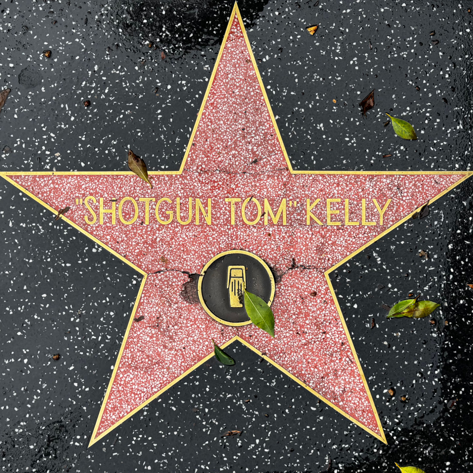'Shotgun Tom' Kelly's Radio Star 'Shotgun Tom' Kelly's Radio Star