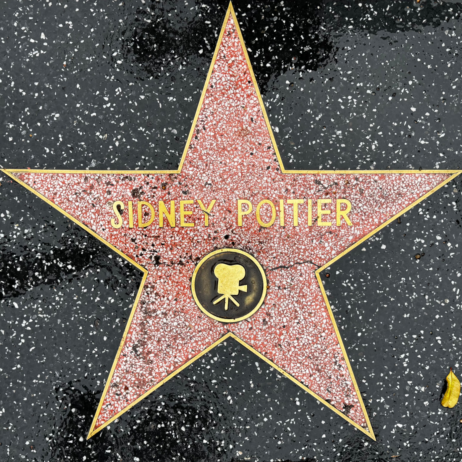 Sidney Poitier's Motion Pictures Star
