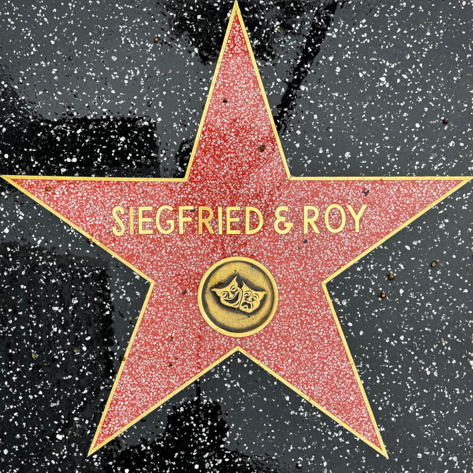 Siegfried & Roy's Live Performance Star Siegfried & Roy's Live Performance Star