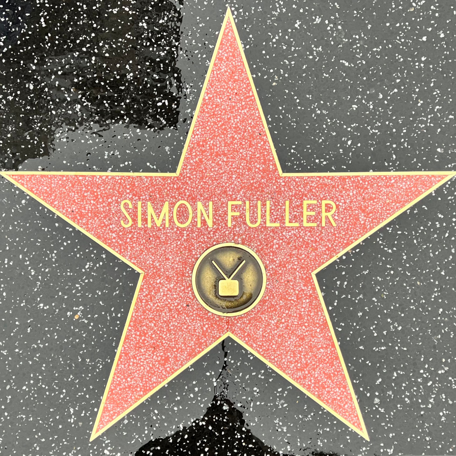 Simon Fuller's Television Star