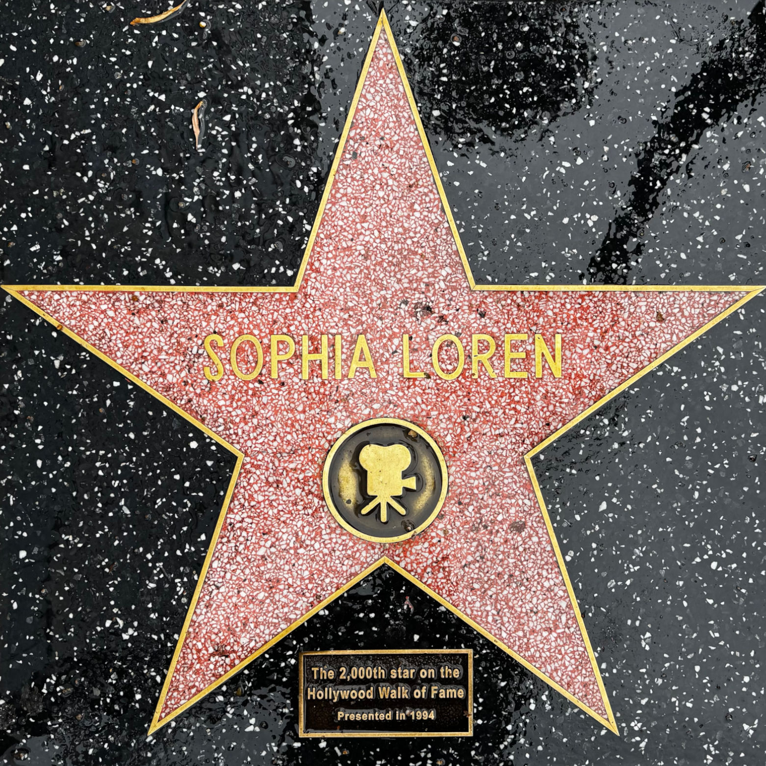 Sophia Loren's Motion Pictures Star Sophia Loren's Motion Pictures Star