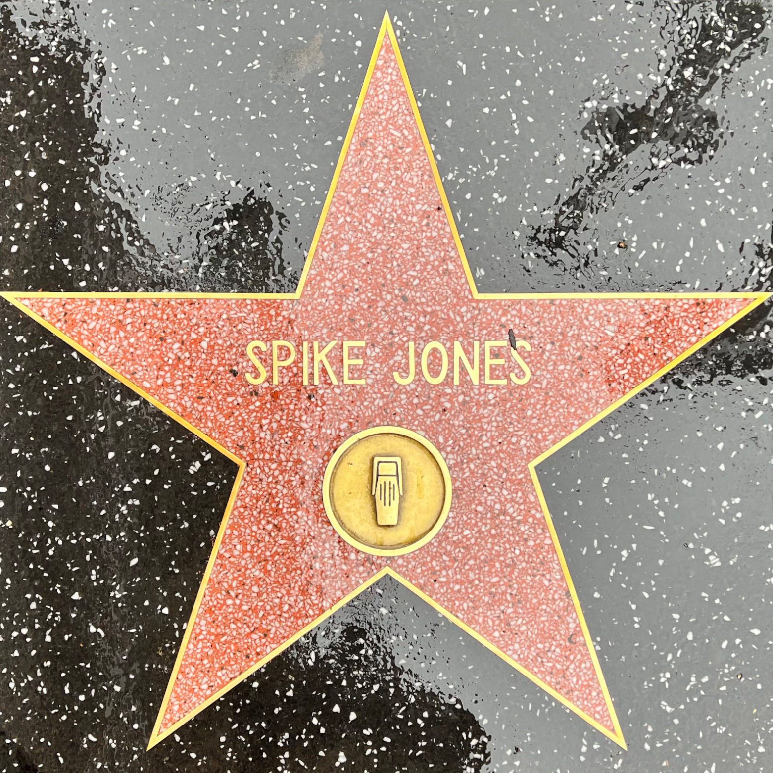 Spike Jones's Radio Star