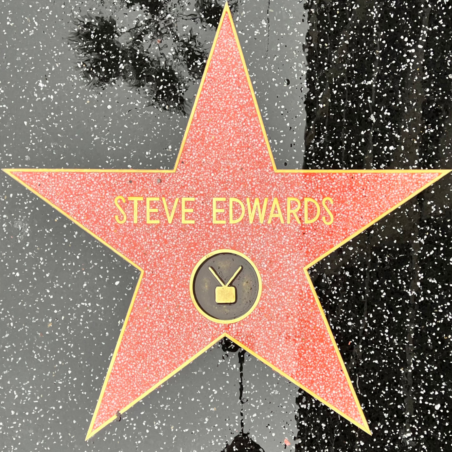 Steve Edwards's Television Star