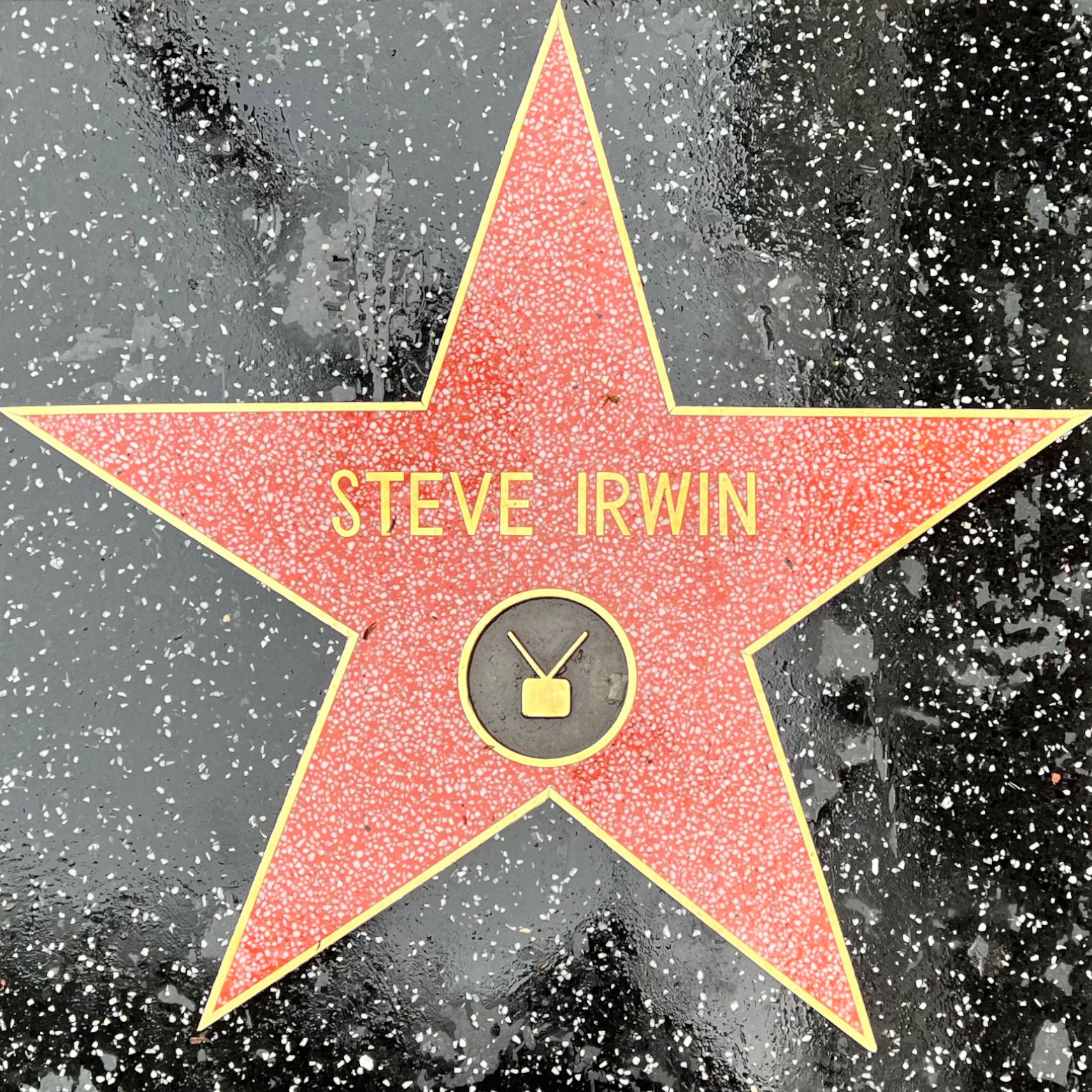 Steve Irwin's Television Star
