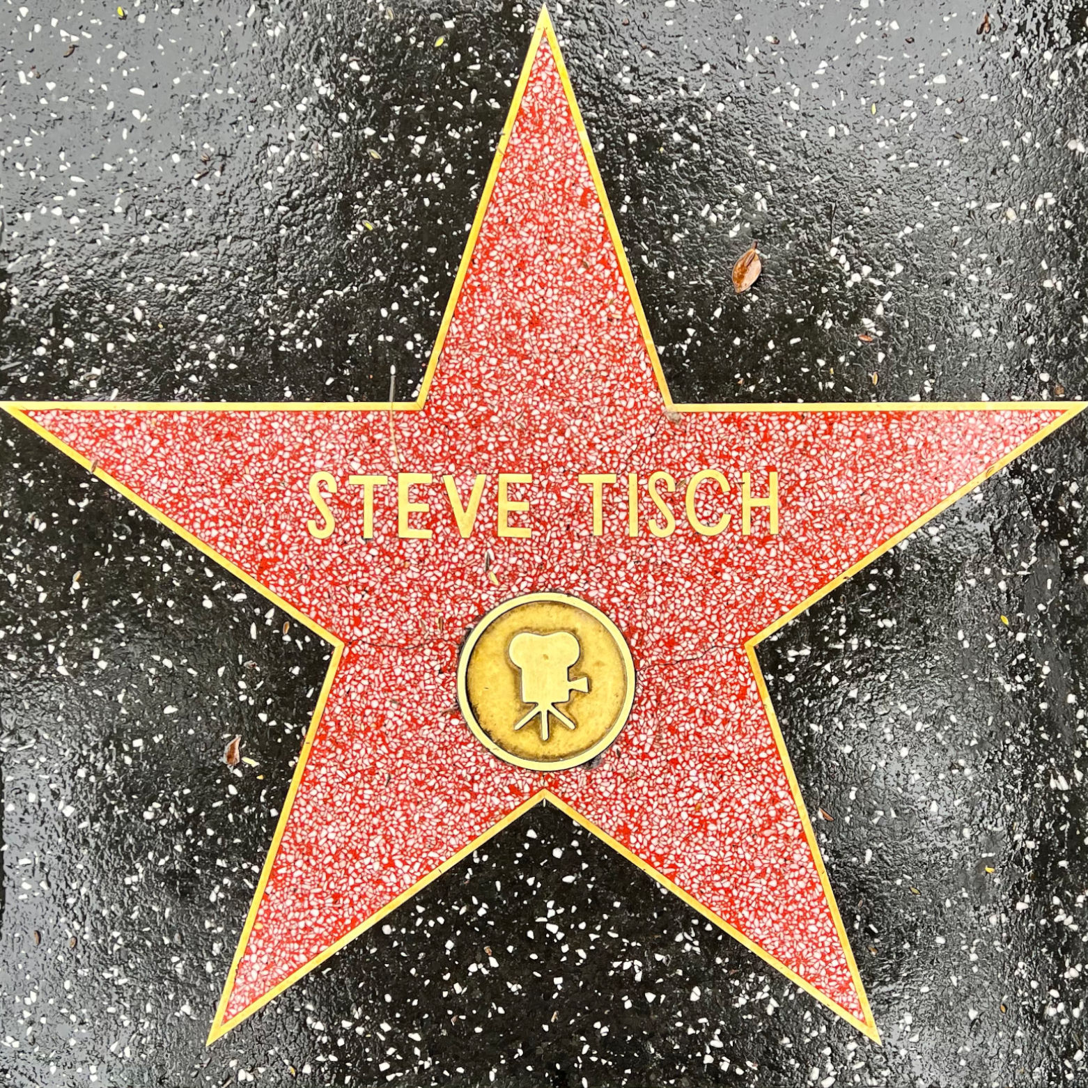 Steve Tisch's Motion Pictures Star