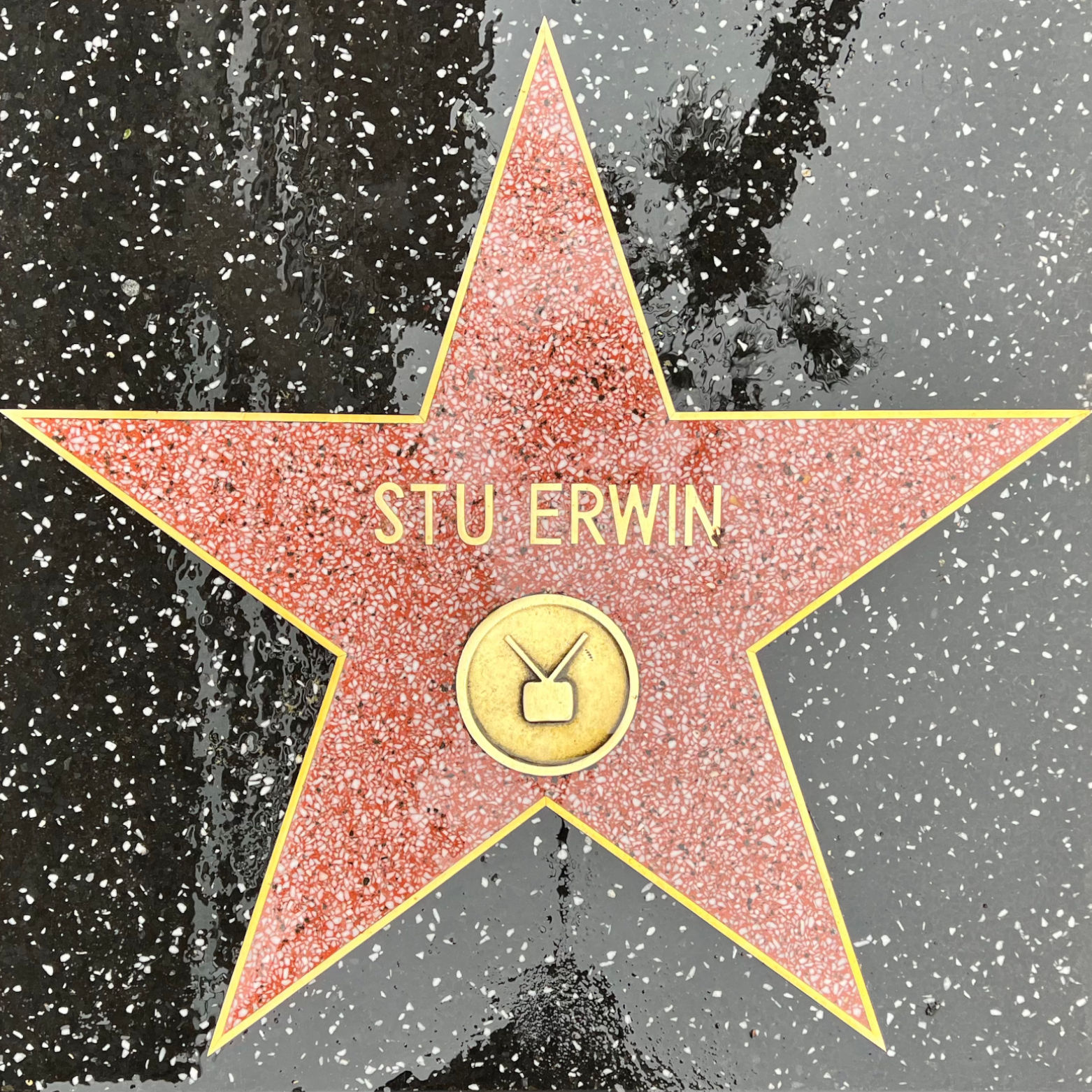 Stu Erwin's Television Star
