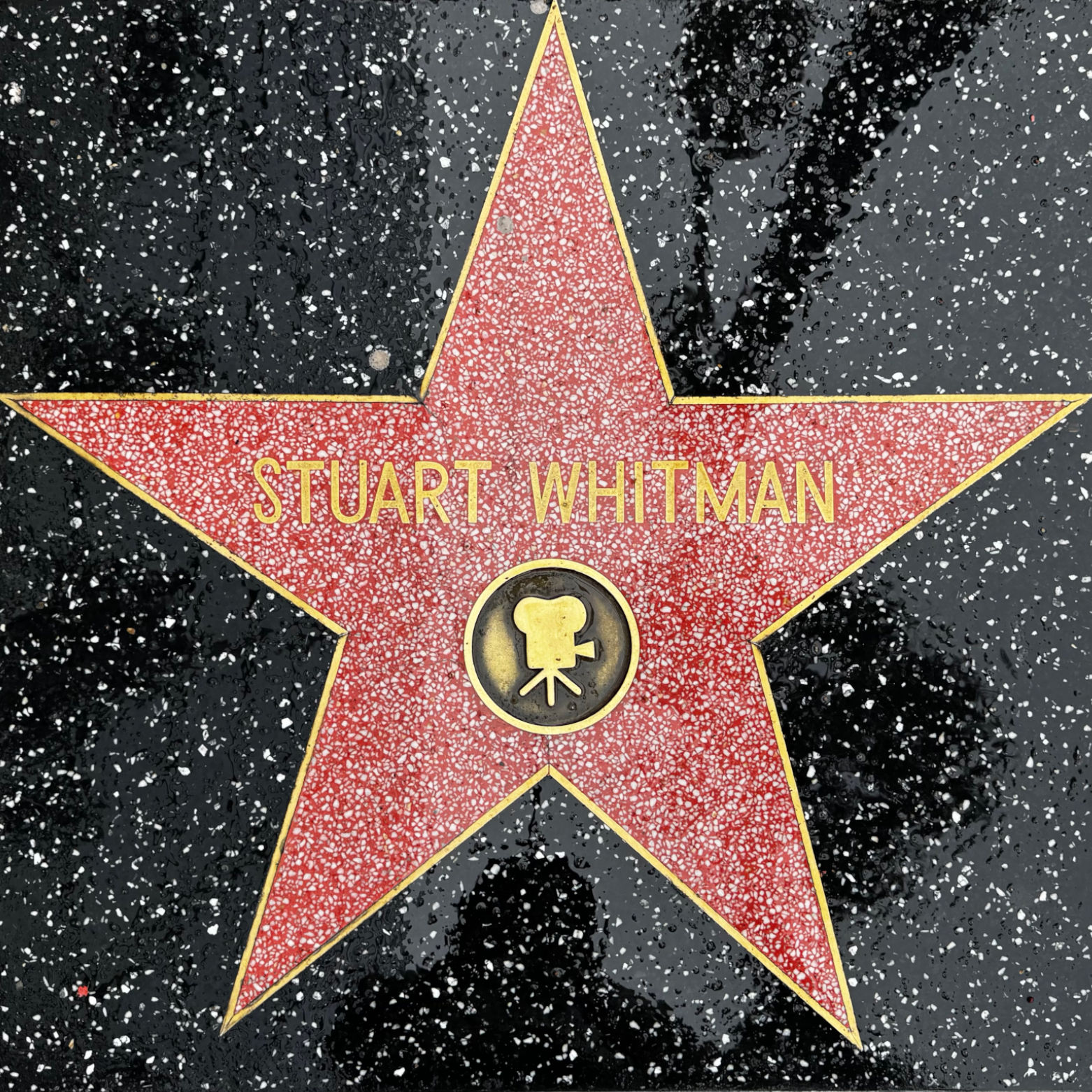 Stuart Whitman's Motion Pictures Star Stuart Whitman's Motion Pictures Star