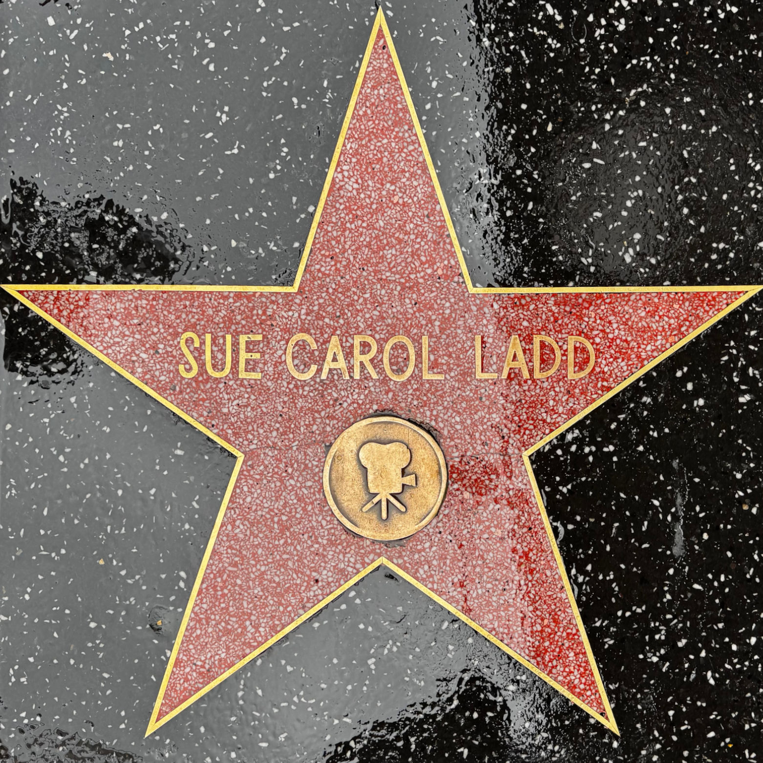 Sue Carol Ladd's Motion Pictures Star Sue Carol Ladd's Motion Pictures Star