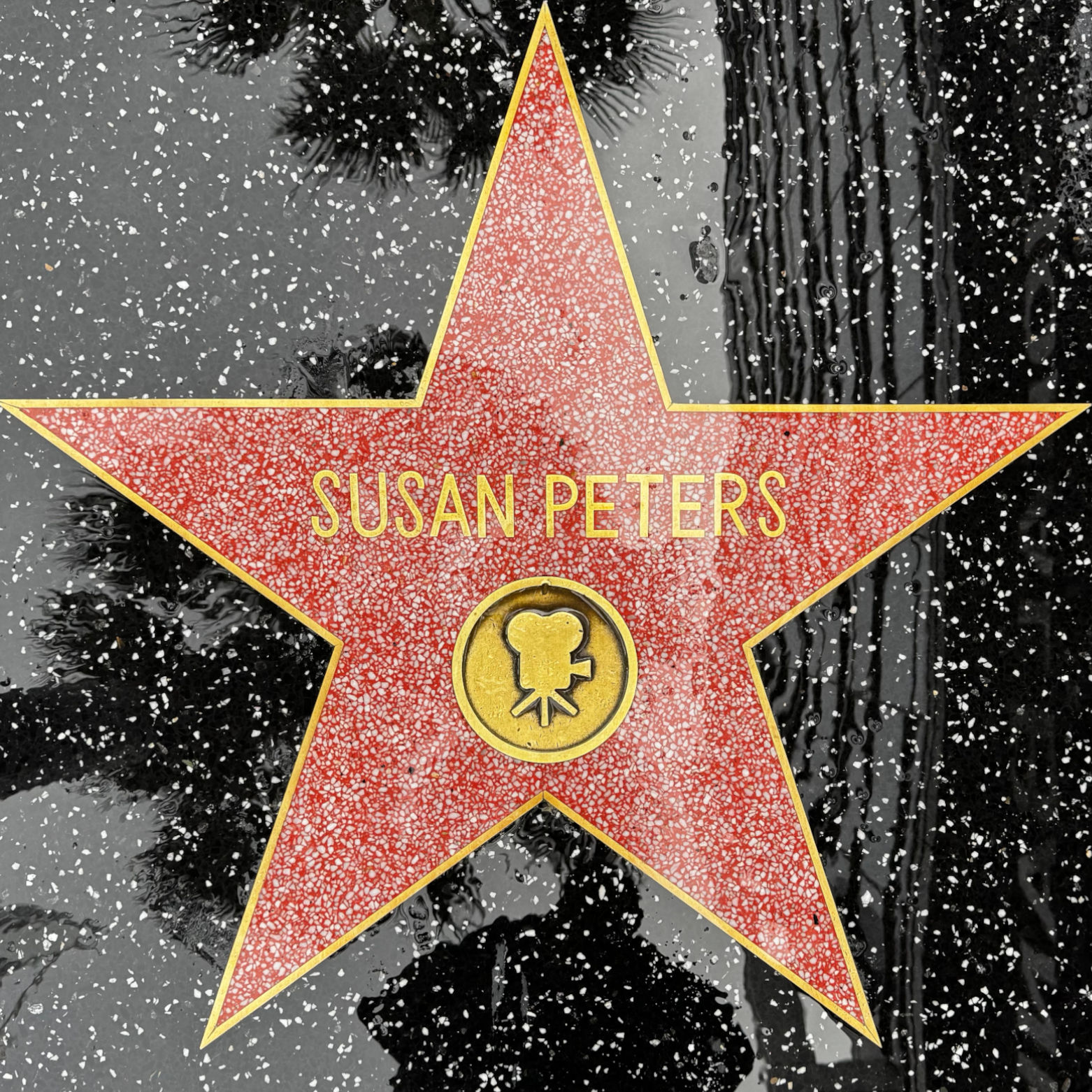 Susan Peters's Motion Pictures Star Susan Peters's Motion Pictures Star