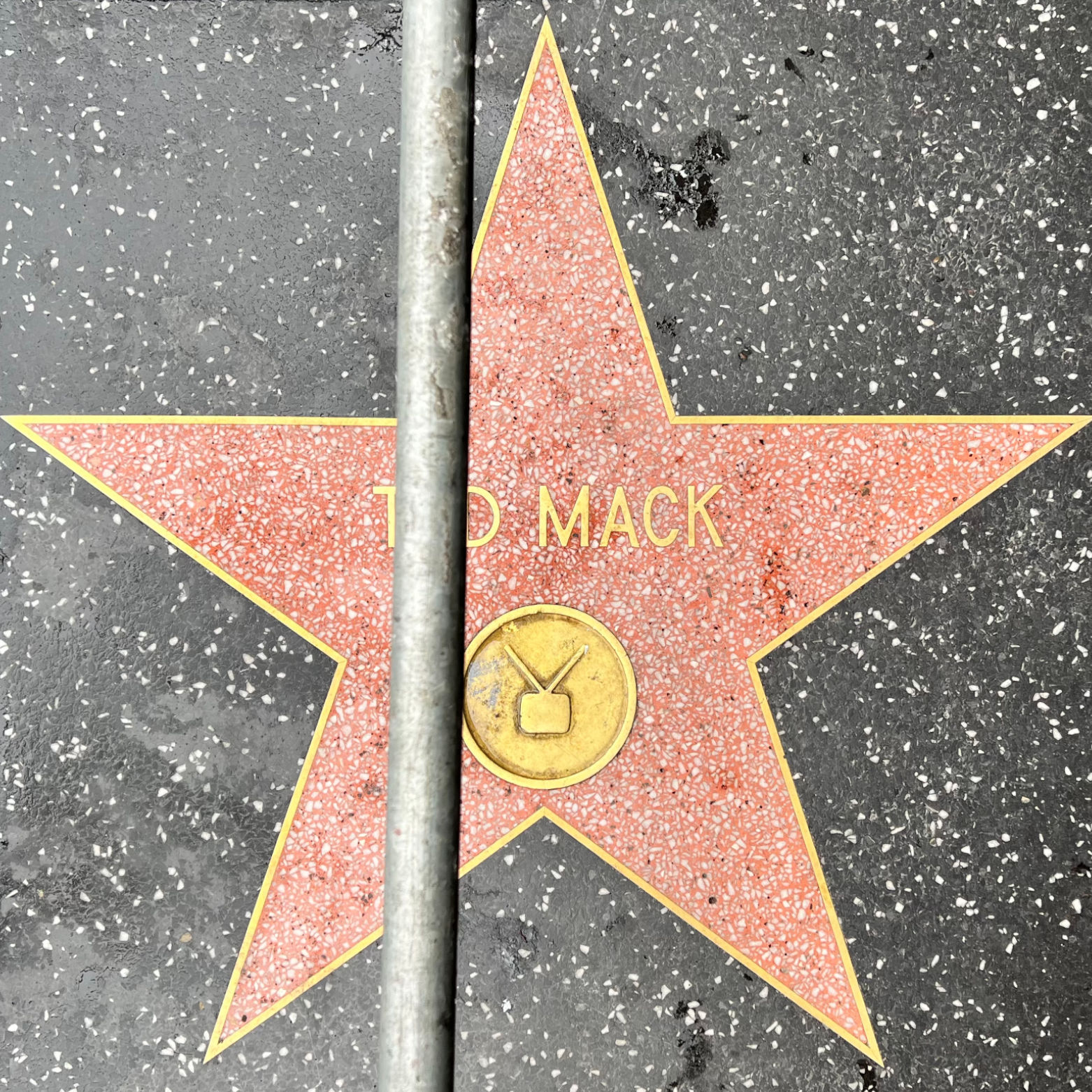 Ted Mack's Television Star