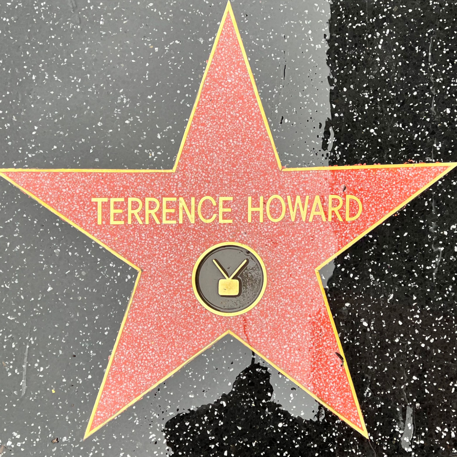 Terrence Howard's Television Star