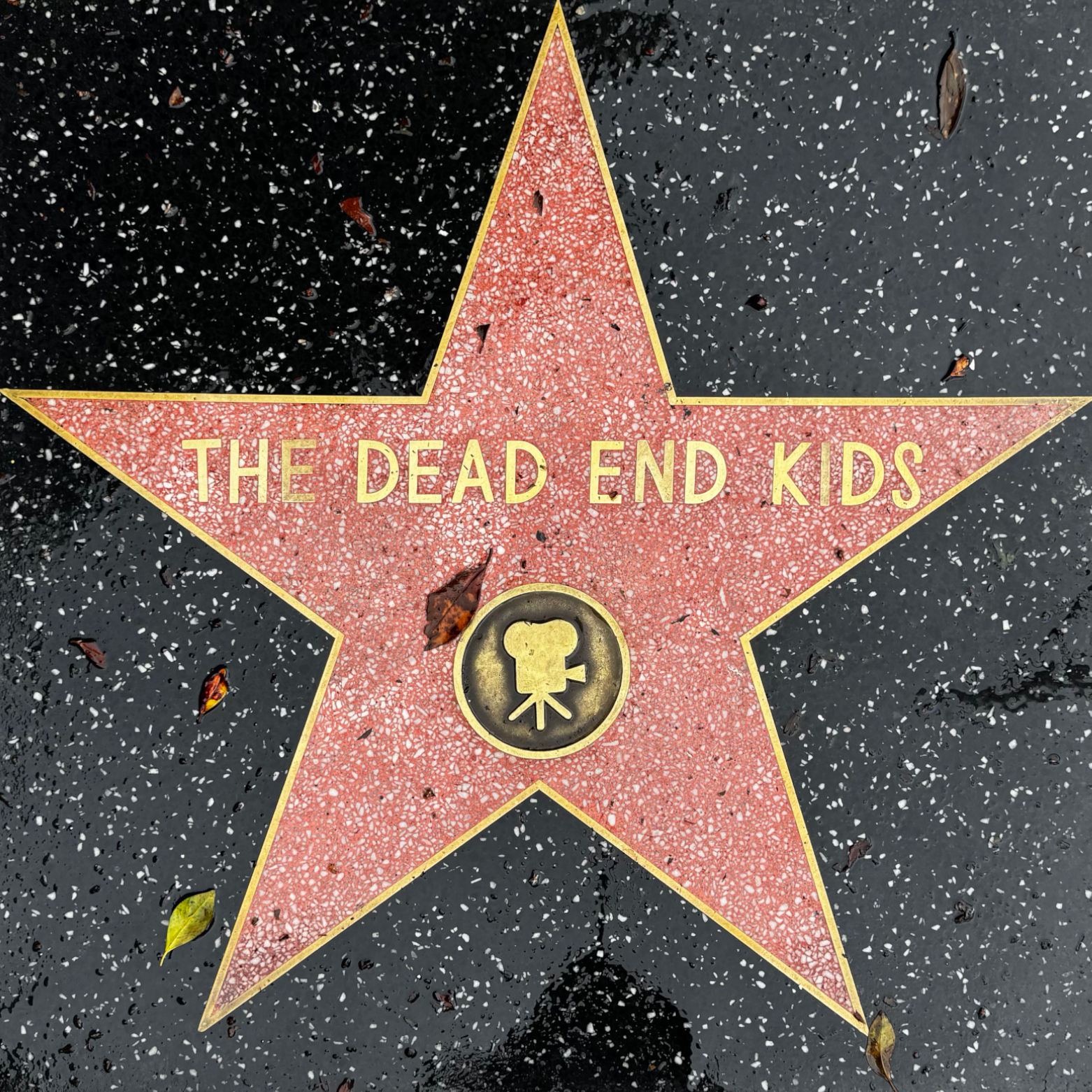 The Dead End Kids's Motion Pictures Star The Dead End Kids's Motion Pictures Star