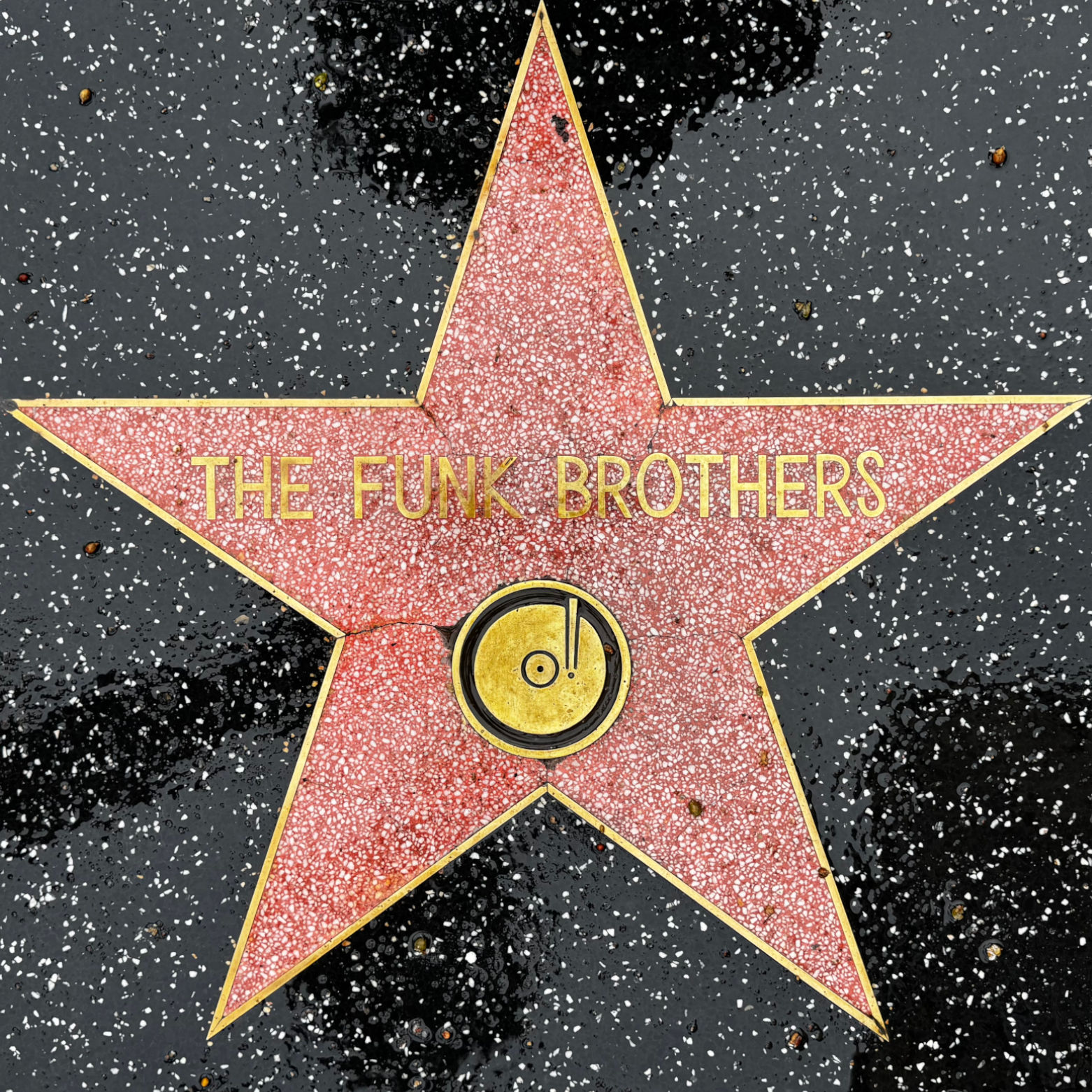 The Funk Brothers's Recording Star The Funk Brothers's Recording Star