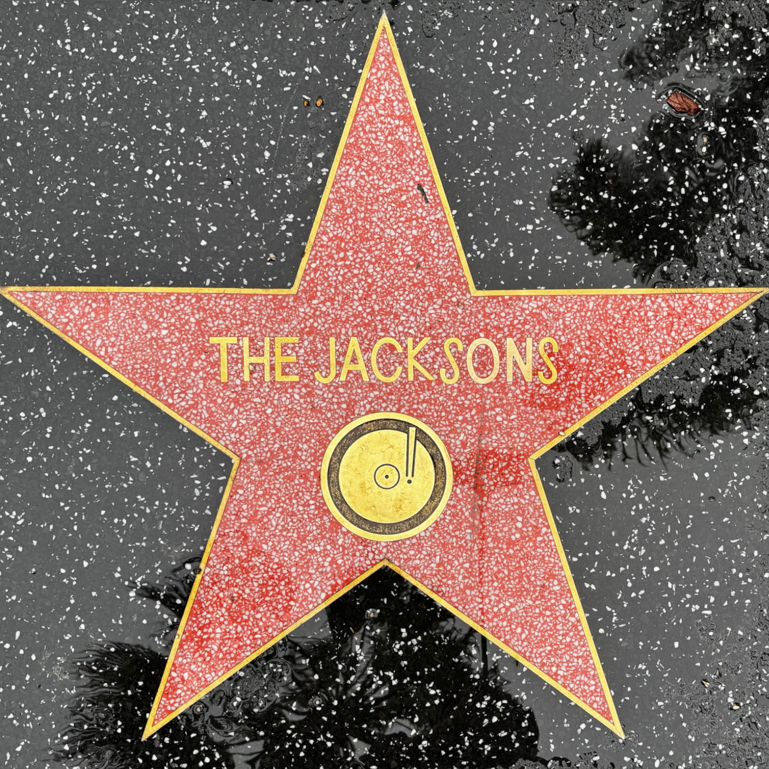 The Jacksons's Recording Star The Jacksons's Recording Star
