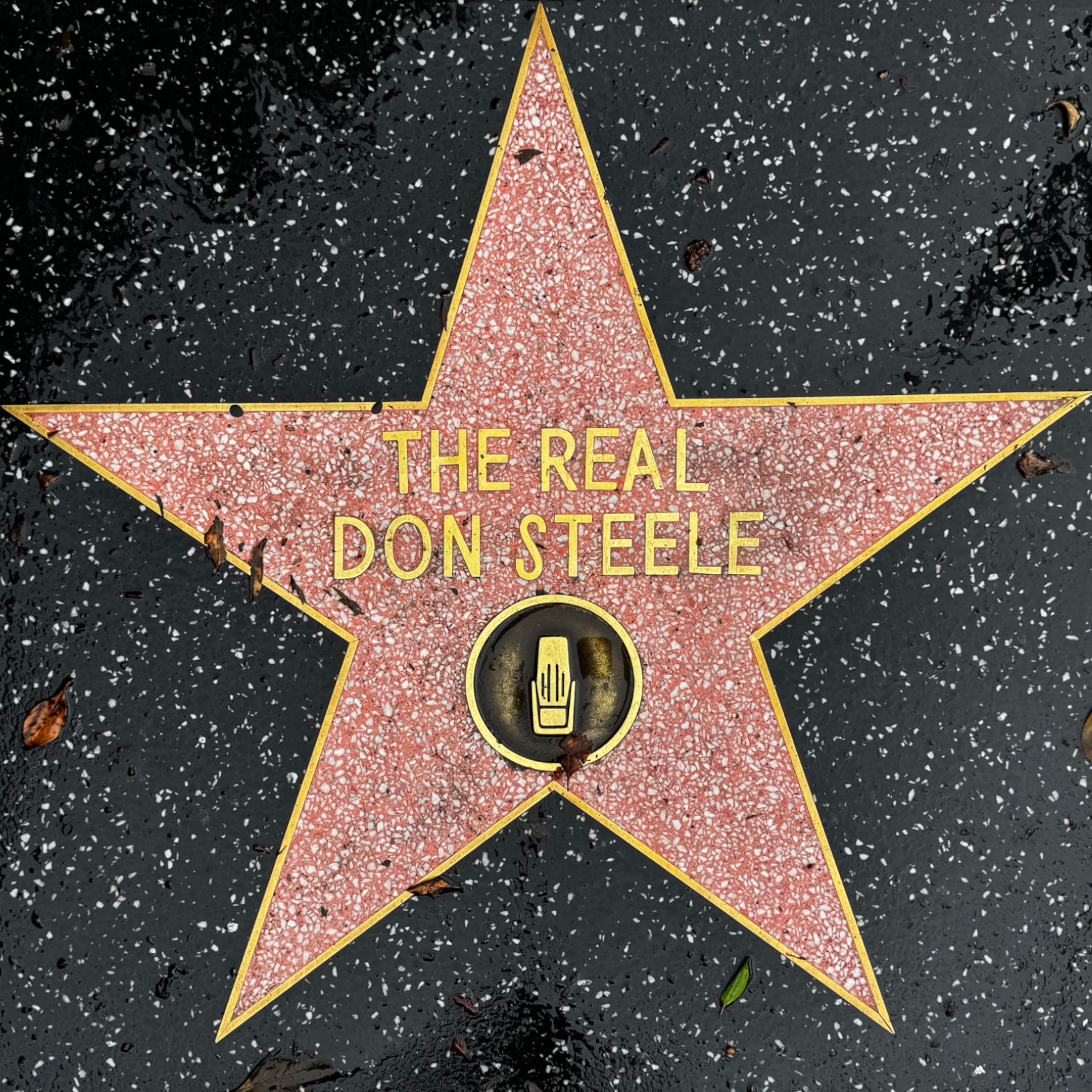 The Real Don Steele's Radio Star The Real Don Steele's Radio Star