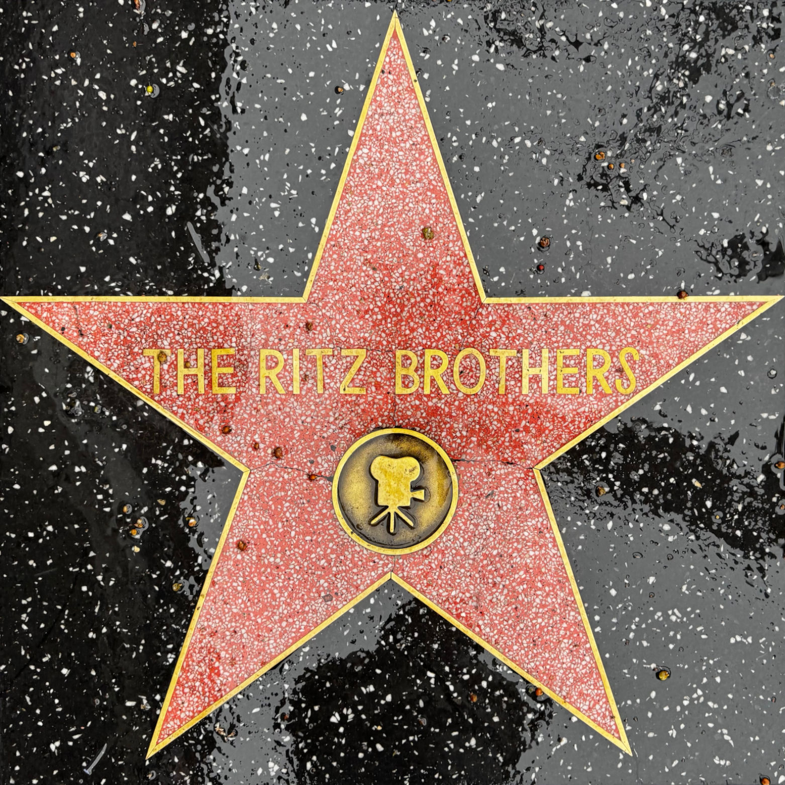 The Ritz Brothers's Motion Pictures Star The Ritz Brothers's Motion Pictures Star