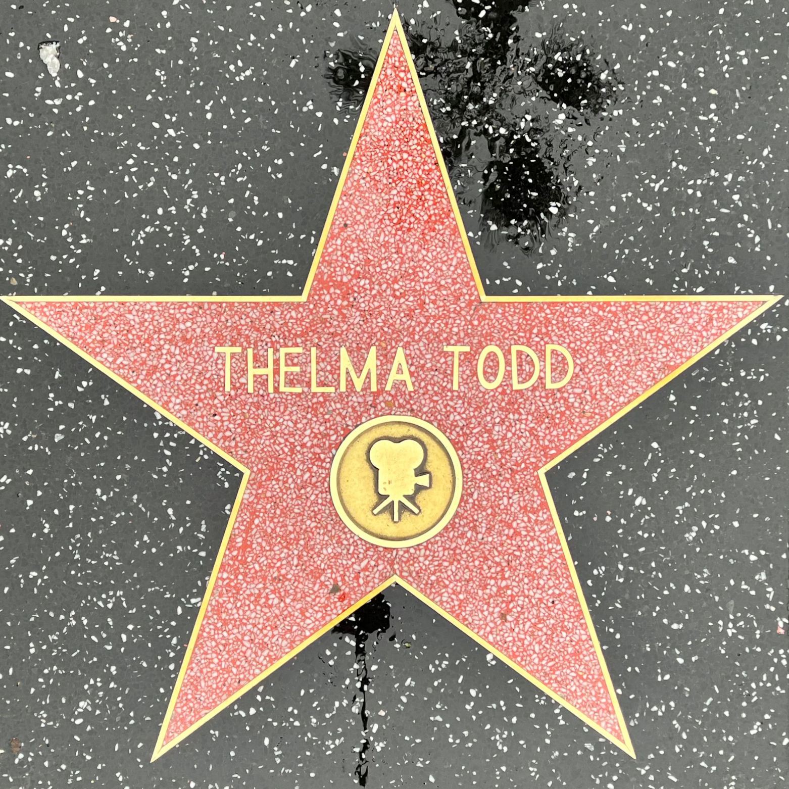 Thelma Todd's Motion Pictures Star