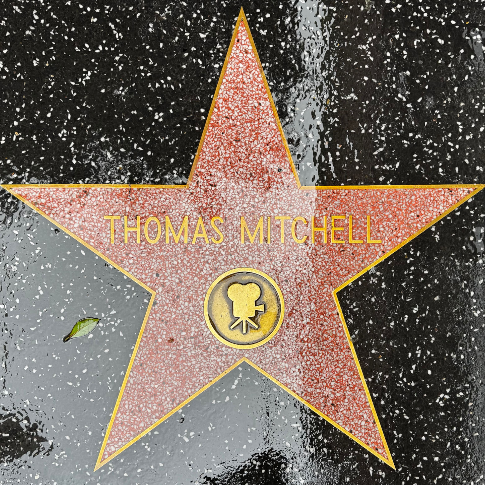One of Thomas Mitchell's Stars One of Thomas Mitchell's Stars
