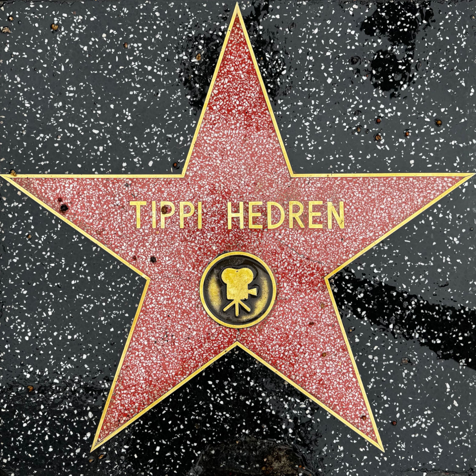 Tippi Hedren's Motion Pictures Star Tippi Hedren's Motion Pictures Star