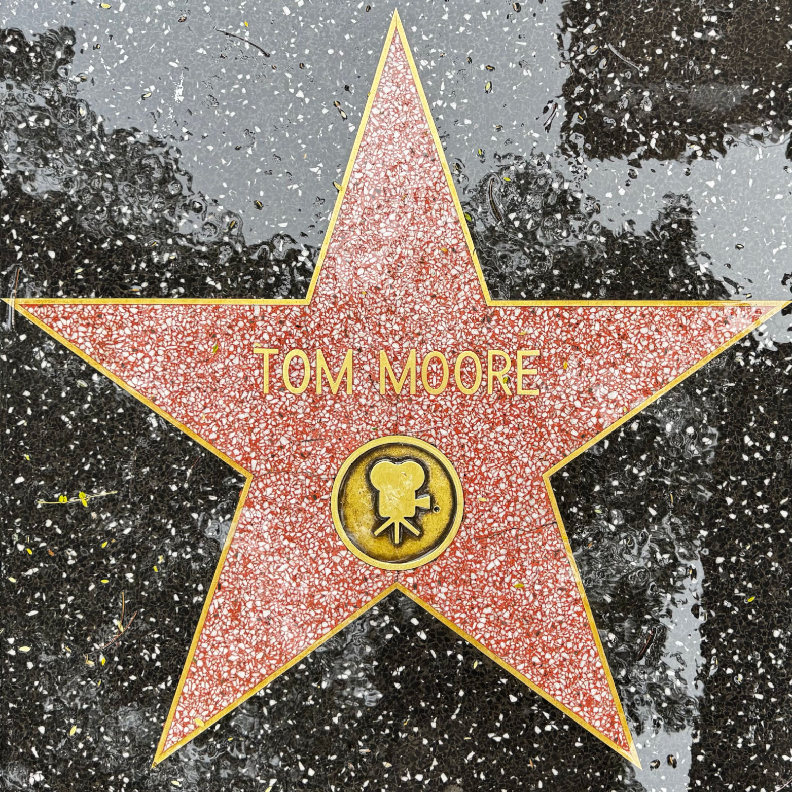 Tom Moore's Motion Pictures Star Tom Moore's Motion Pictures Star