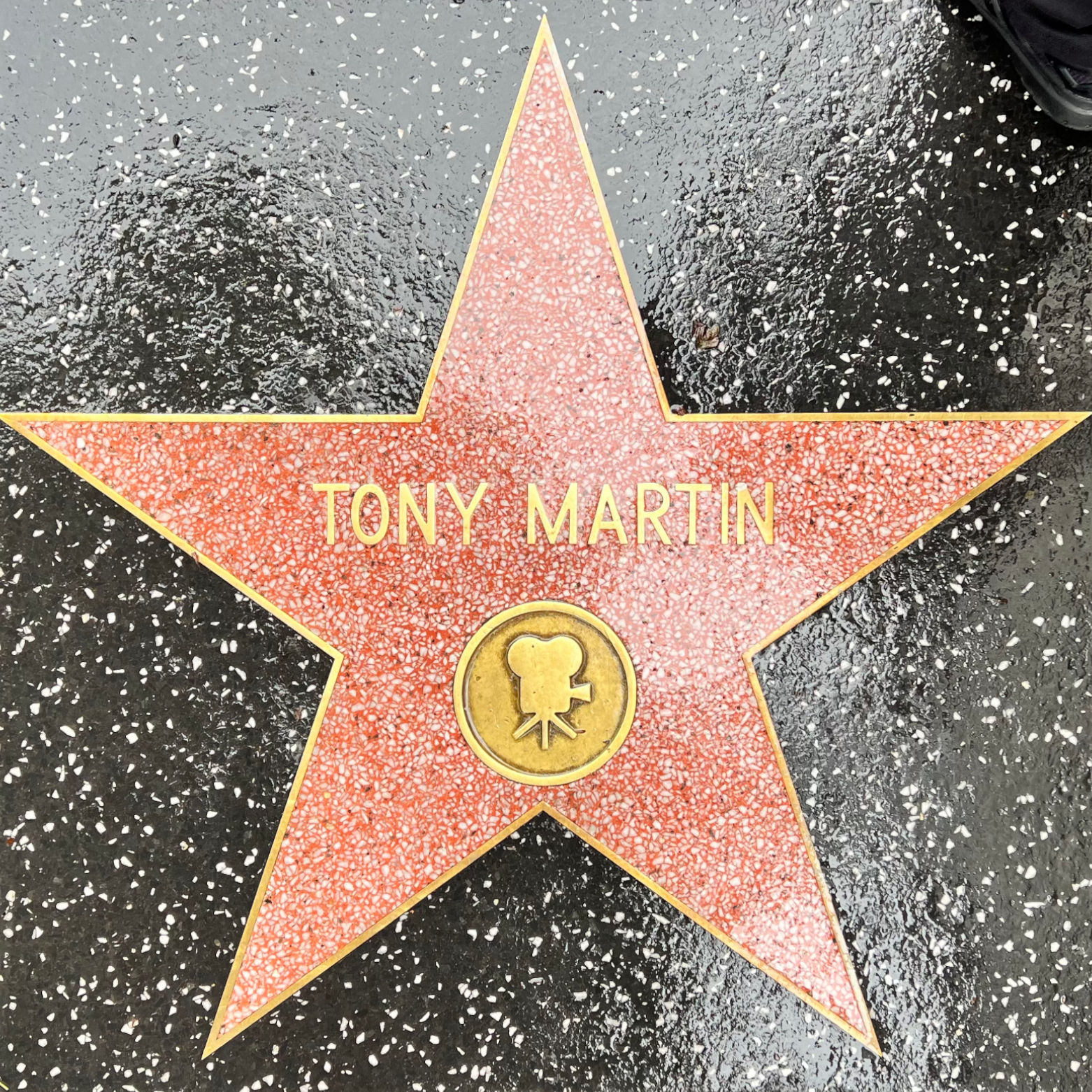Tony Martin's Motion Pictures Star