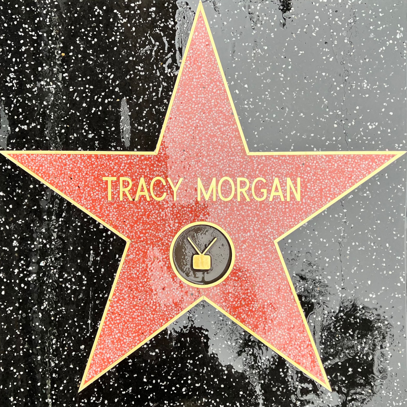 Tracy Morgan's Television Star