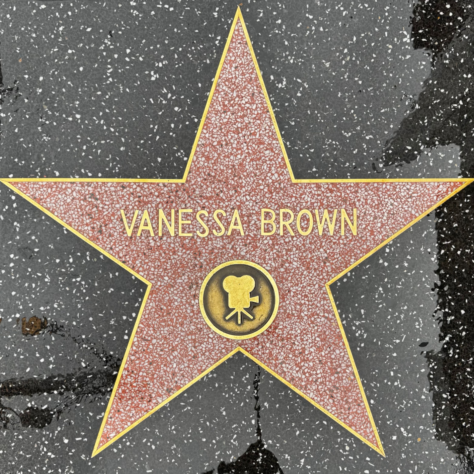 Vanessa Brown's Motion Pictures Star