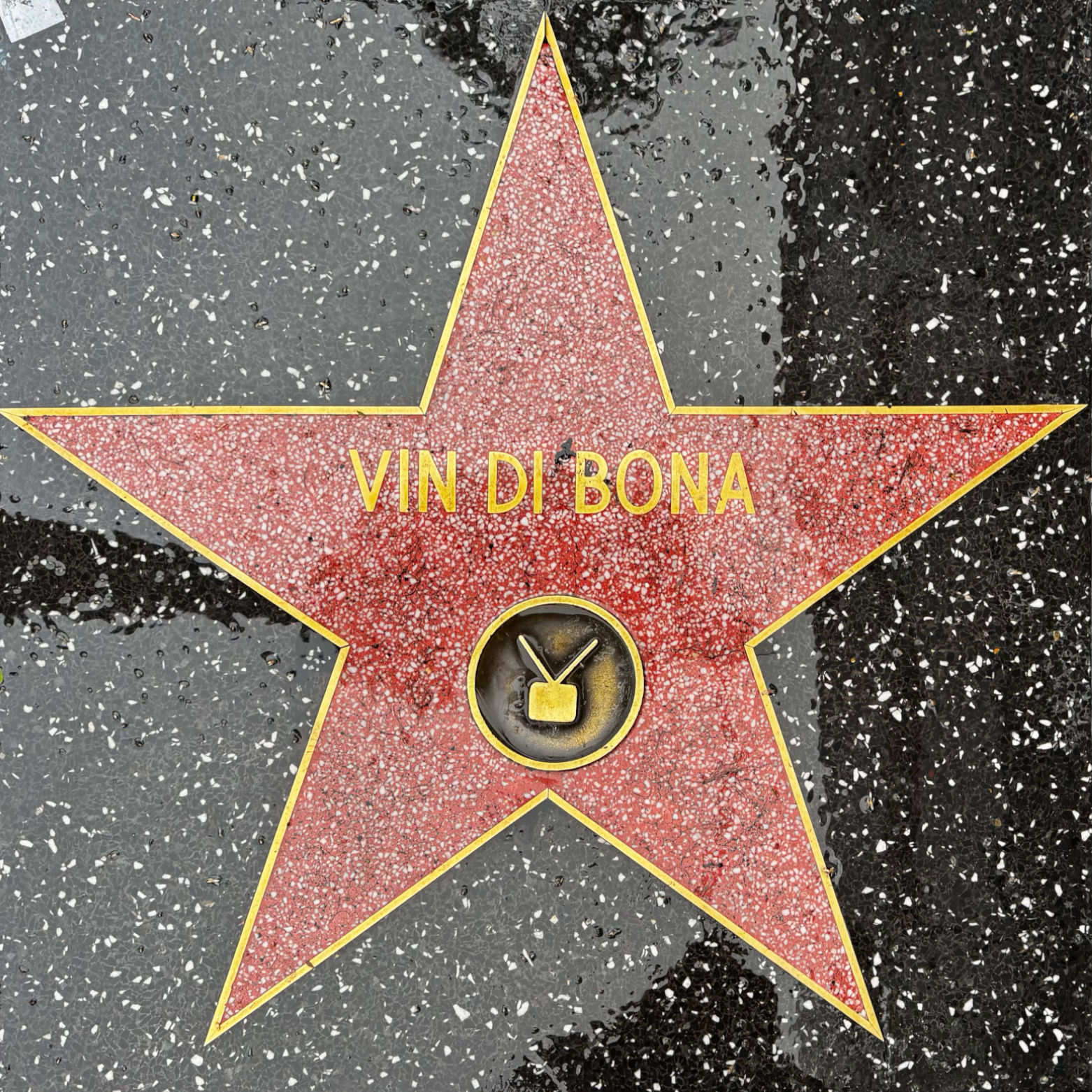 Vin Di Bona's Television Star