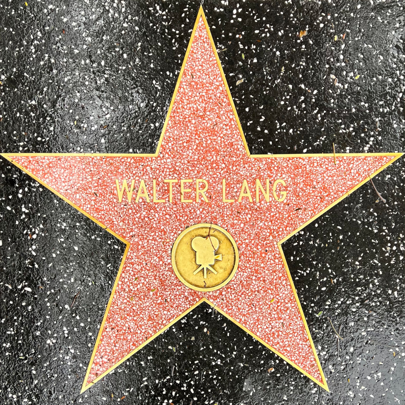 Walter Lang's Motion Pictures Star