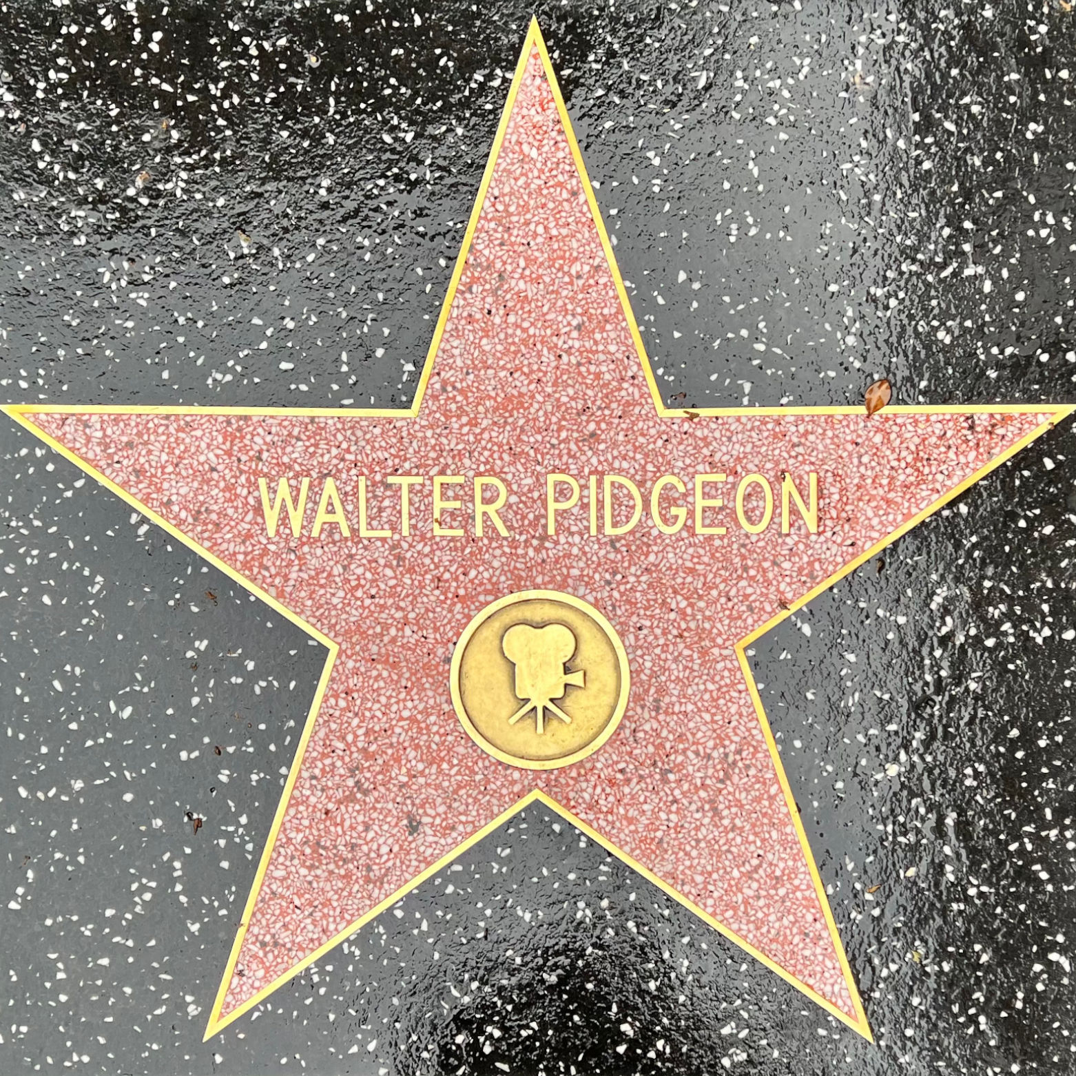Walter Pidgeon's Motion Pictures Star