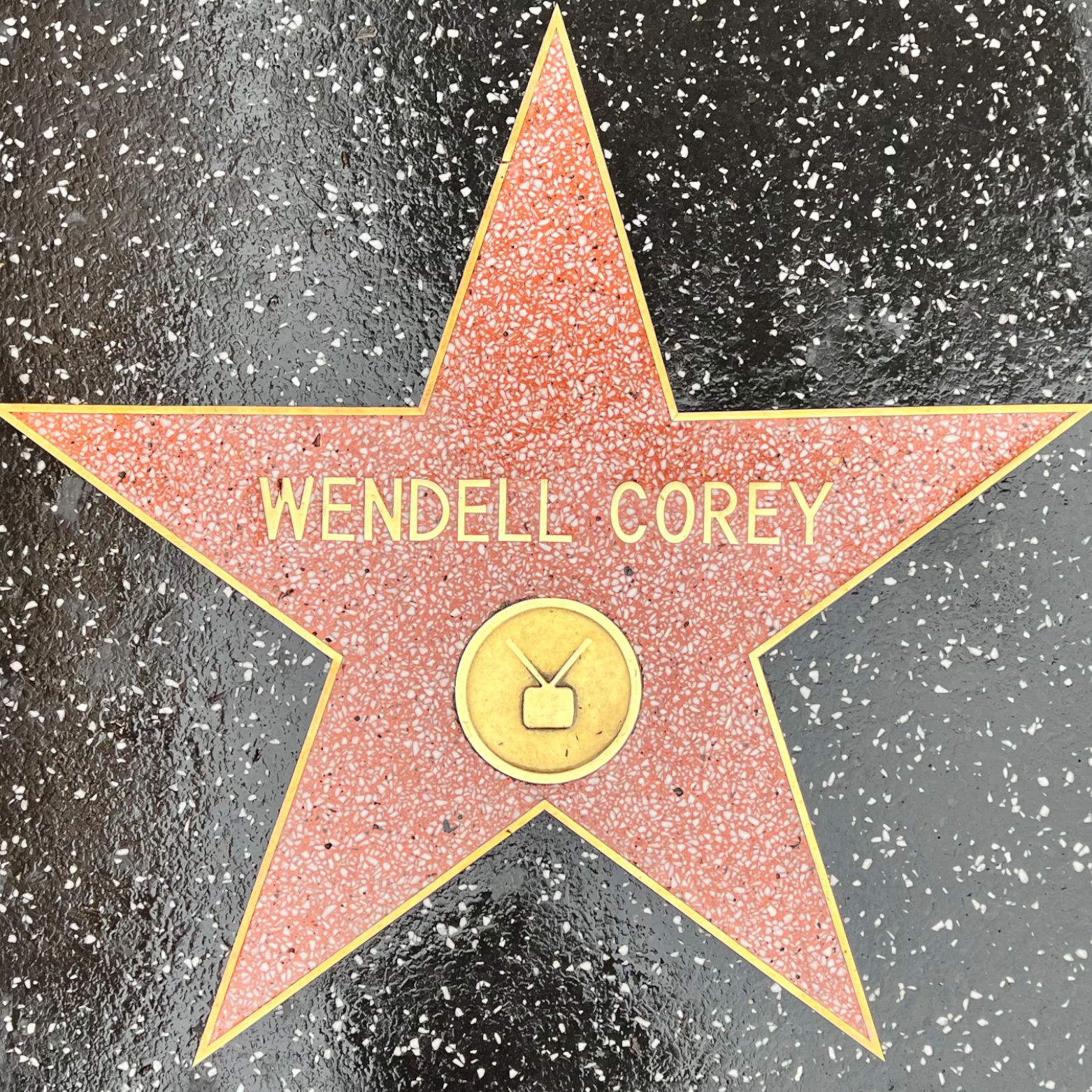 Wendell Corey's Television Star