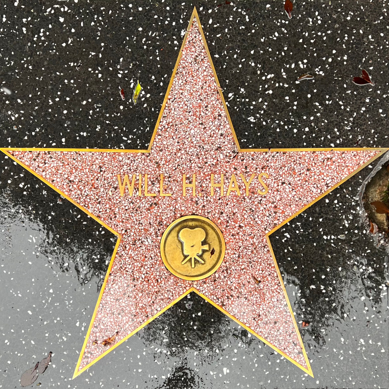 Will H. Hays's Motion Pictures Star
